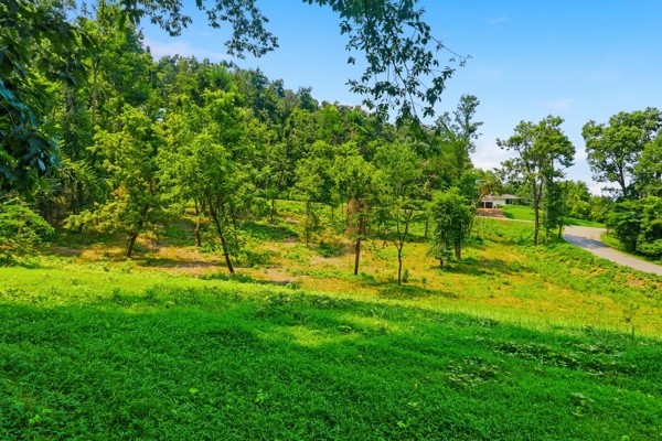 1045 Balmoral Dr Property Photo 3