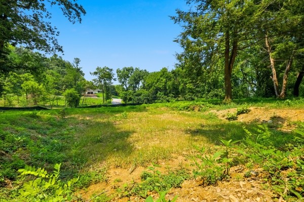 1045 Balmoral Dr Property Photo 10