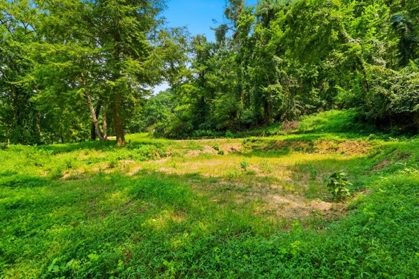 1045 Balmoral Dr Property Photo 13