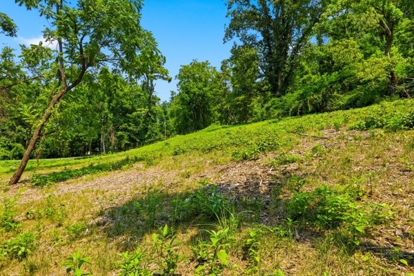 1045 Balmoral Dr Property Photo 21