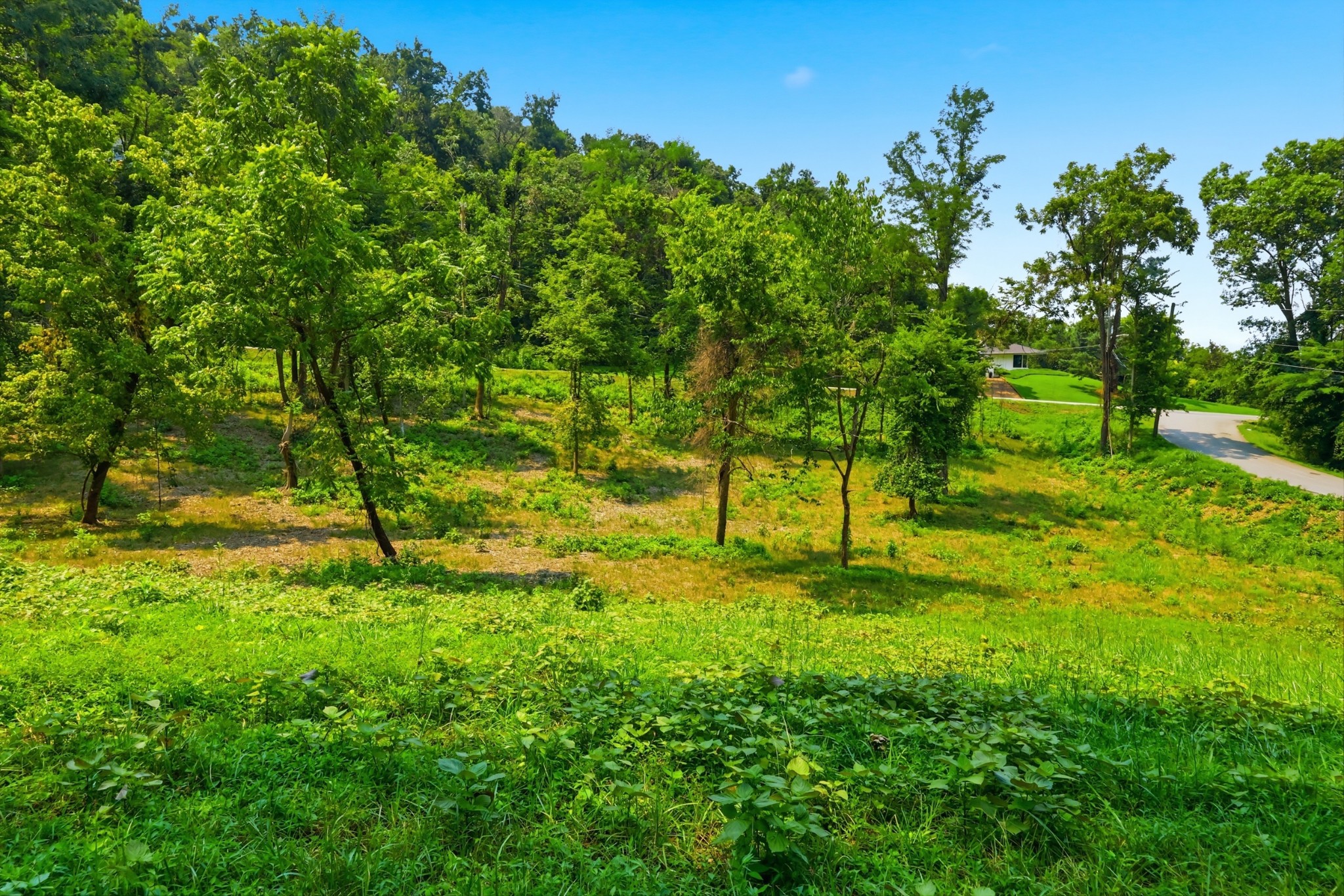1045 Balmoral Dr Property Photo 23