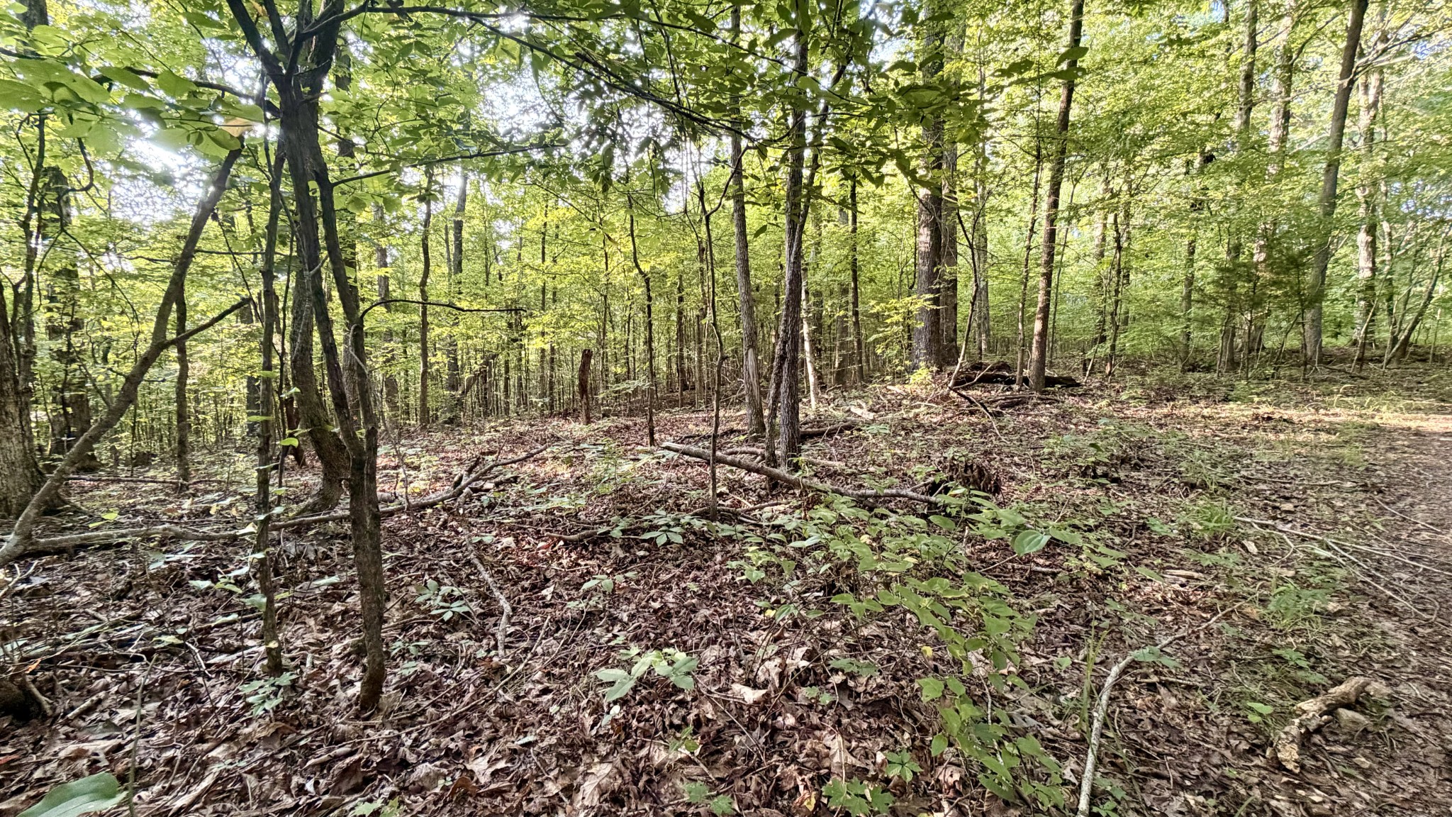309 Charley Davis Rd Property Photo 22