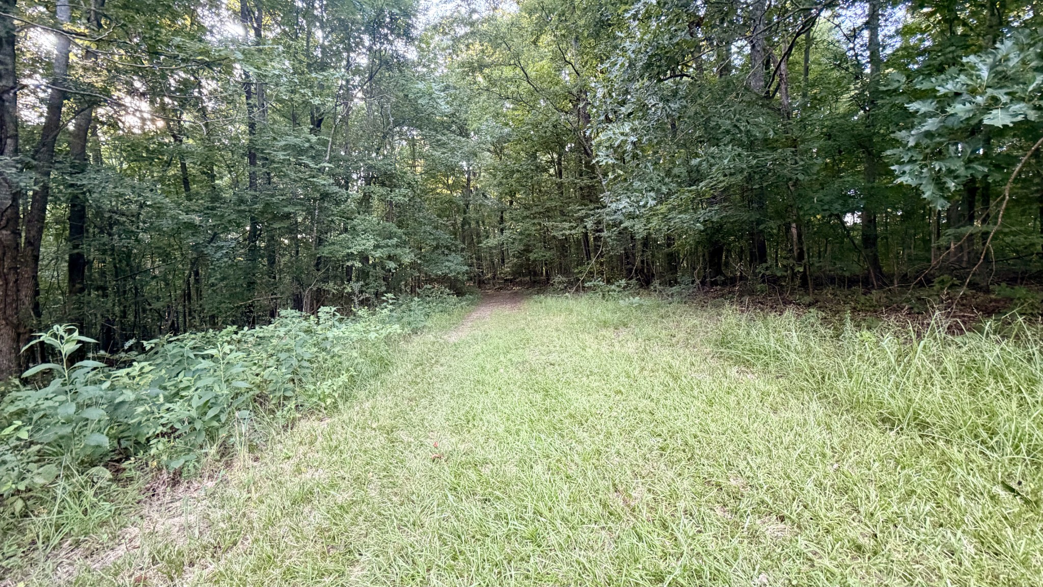 309 Charley Davis Rd Property Photo 23
