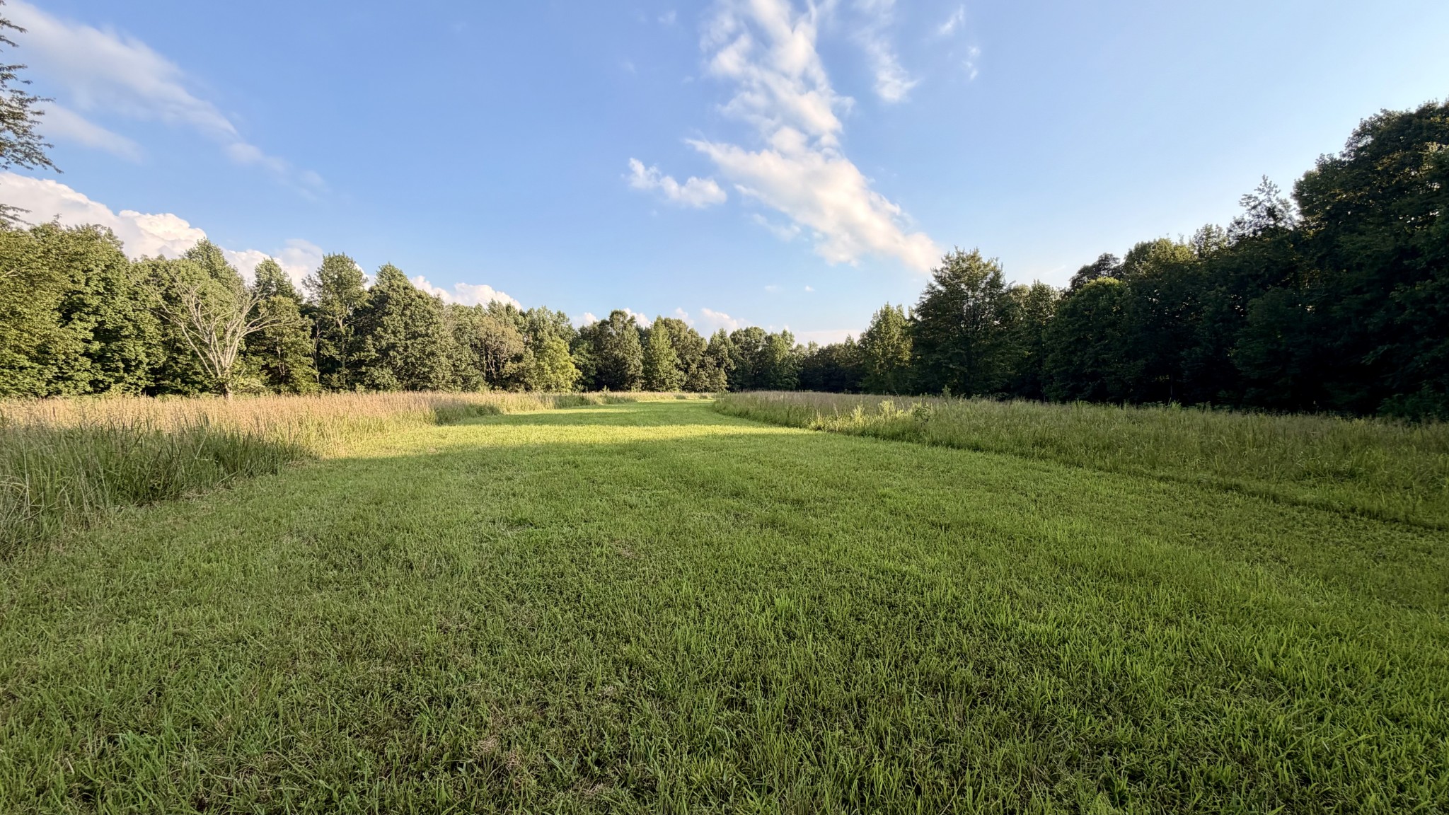 309 Charley Davis Rd Property Photo 24