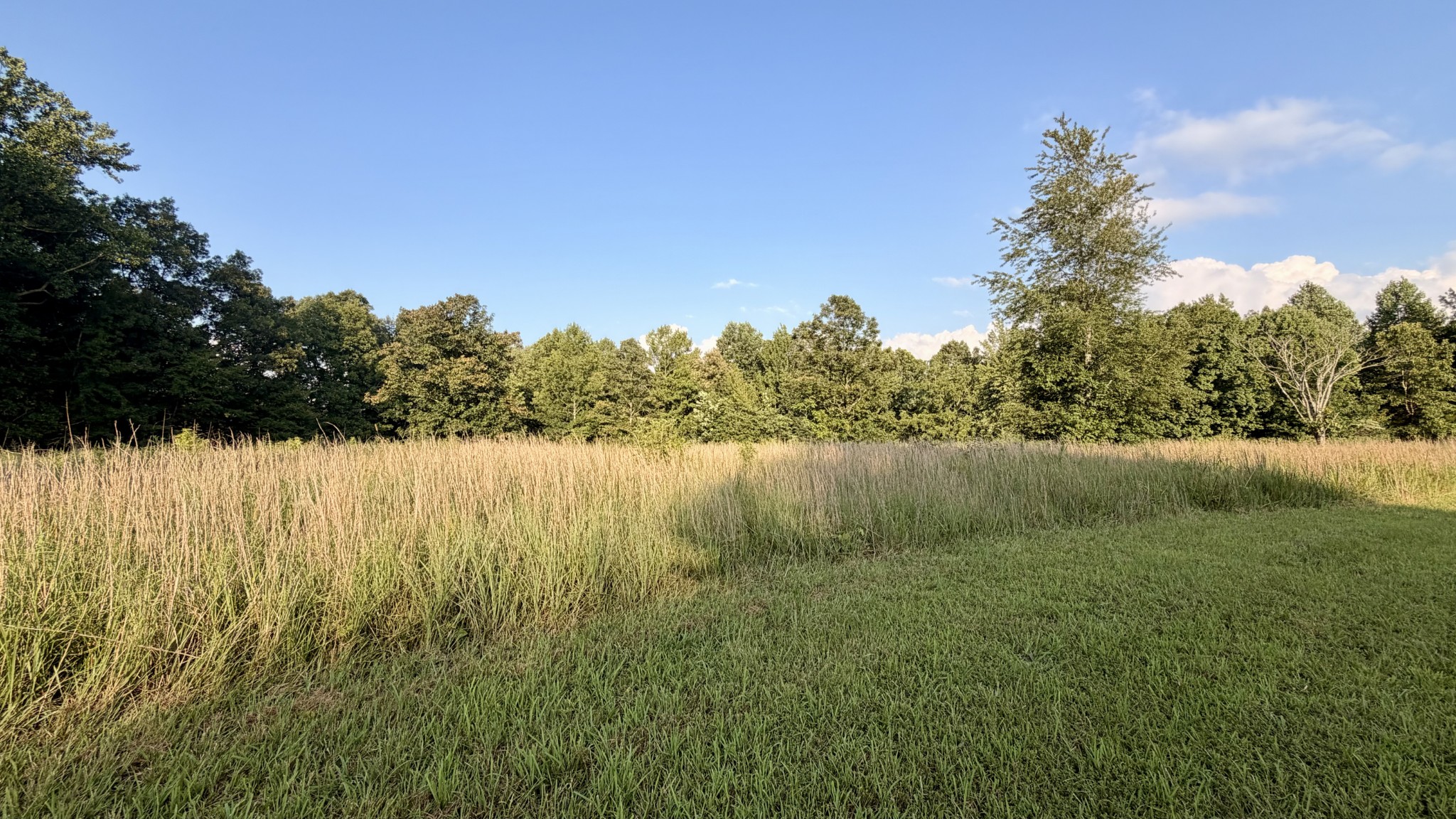 309 Charley Davis Rd Property Photo 25