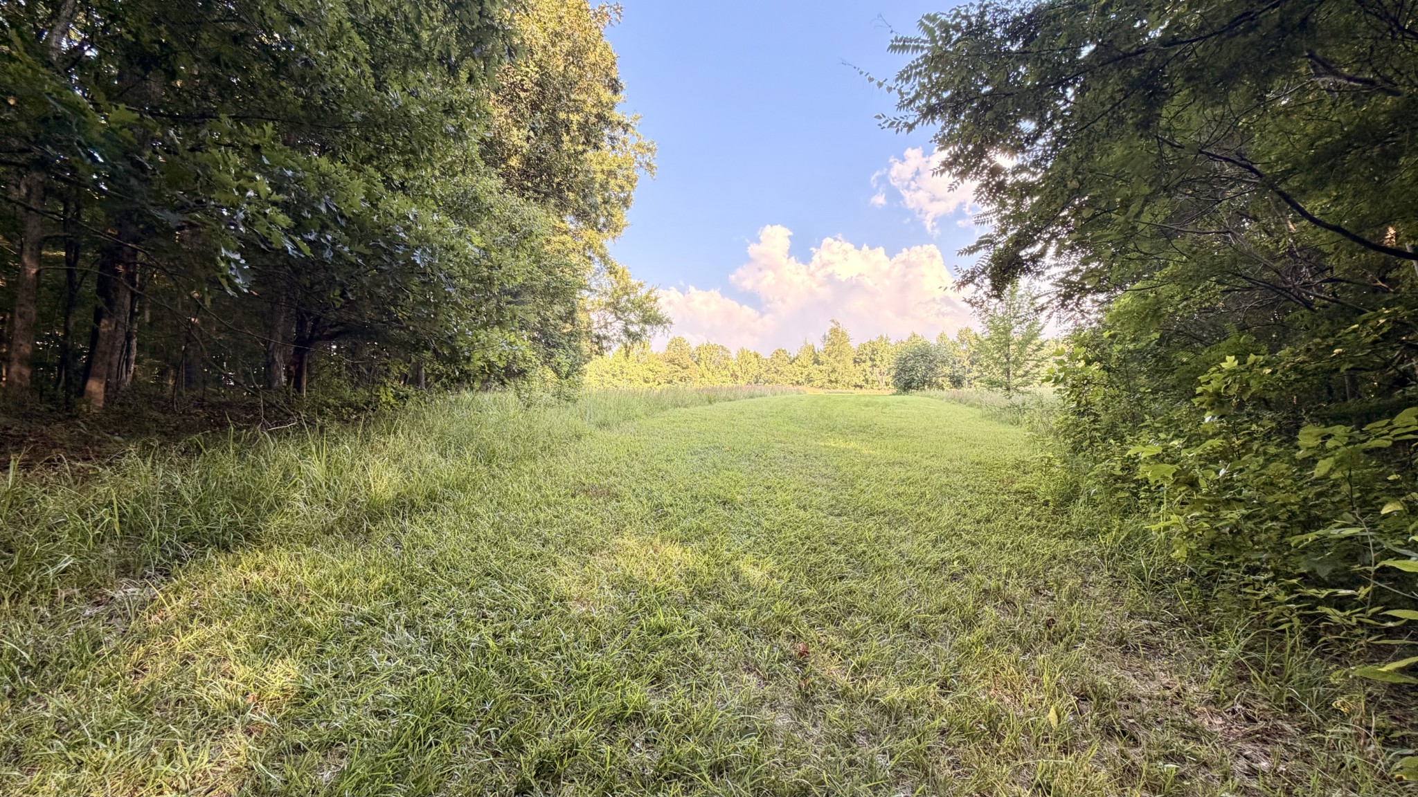 309 Charley Davis Rd Property Photo 26