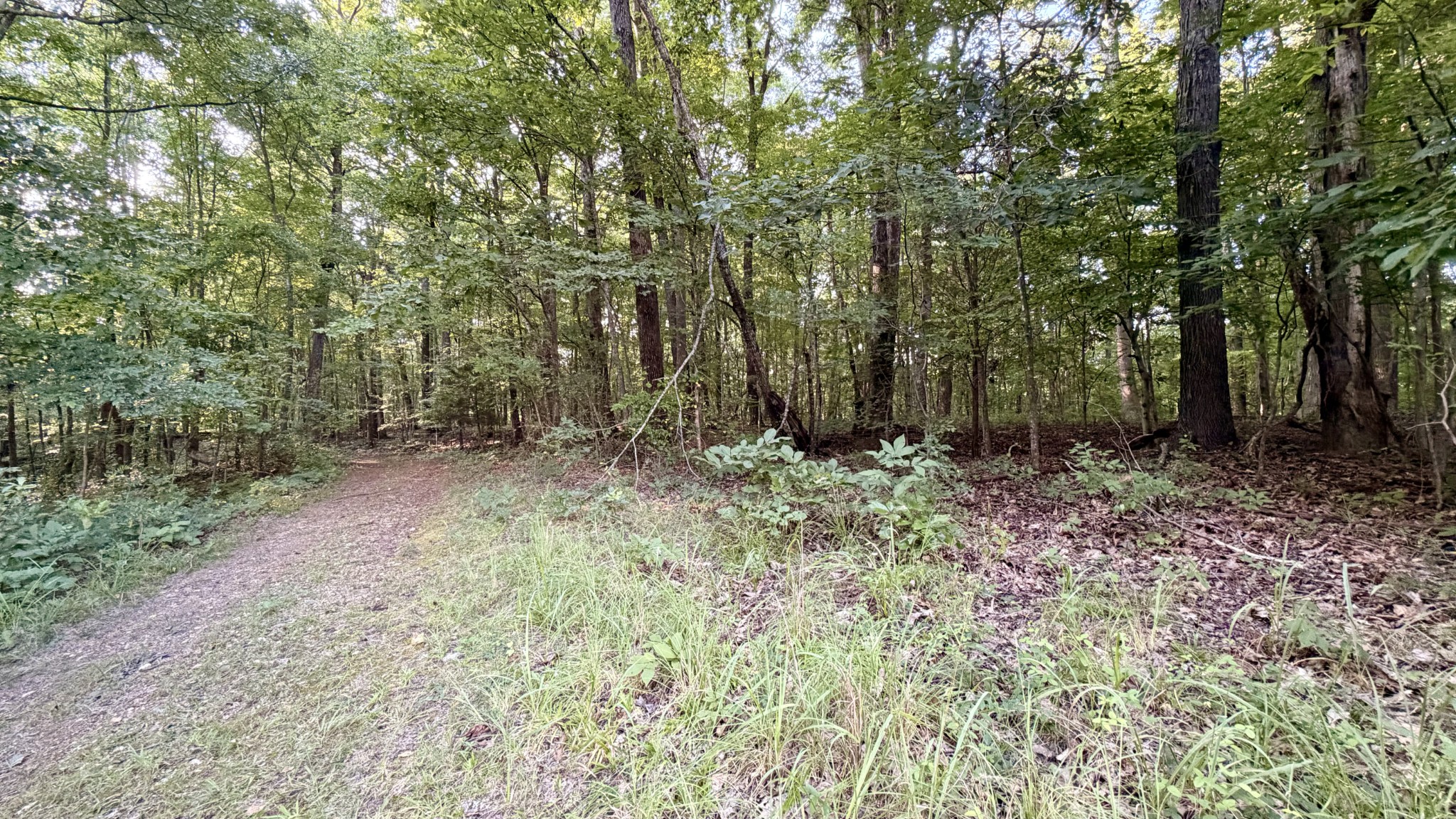 309 Charley Davis Rd Property Photo 27