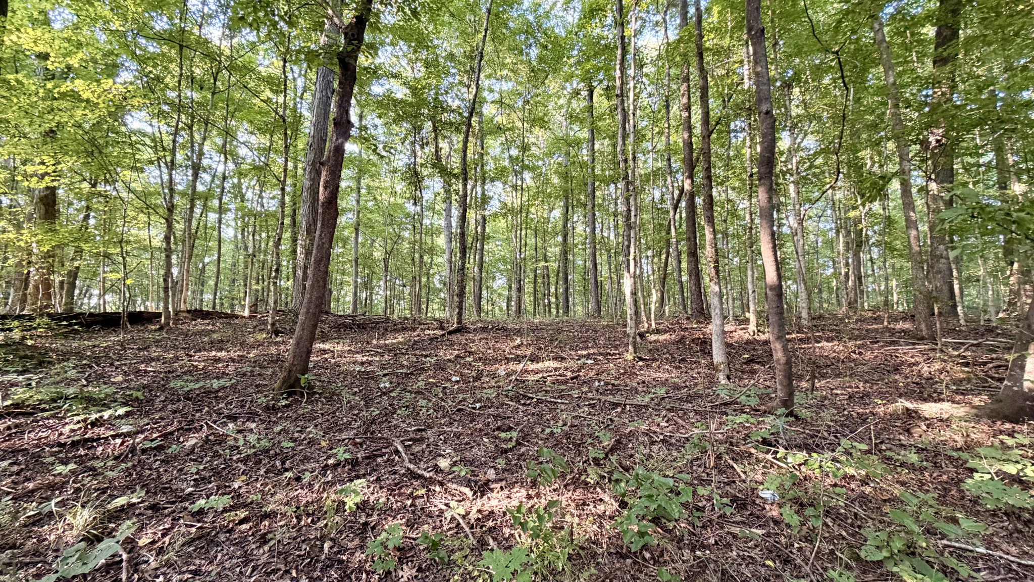 309 Charley Davis Rd Property Photo 28
