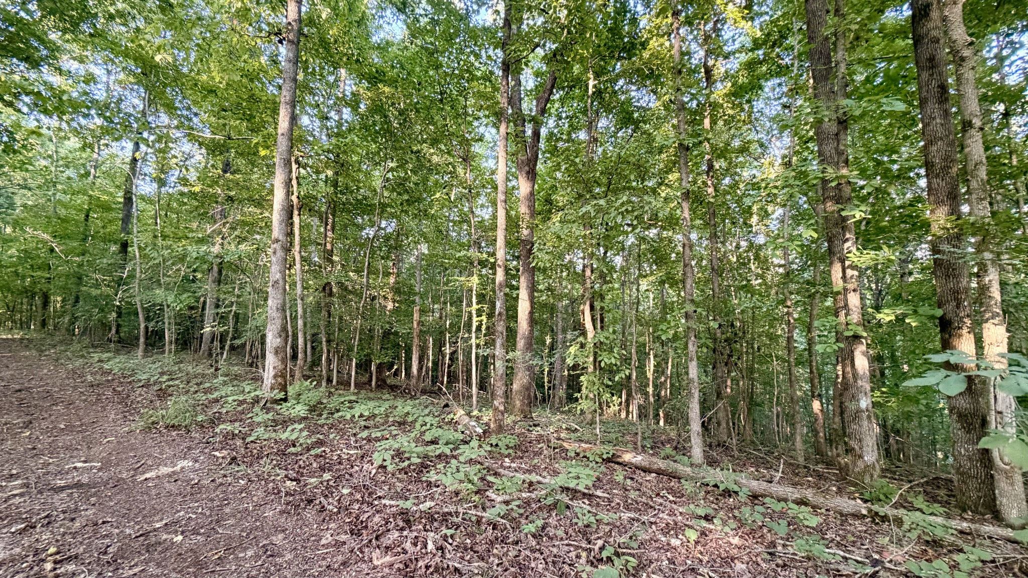 309 Charley Davis Rd Property Photo 32