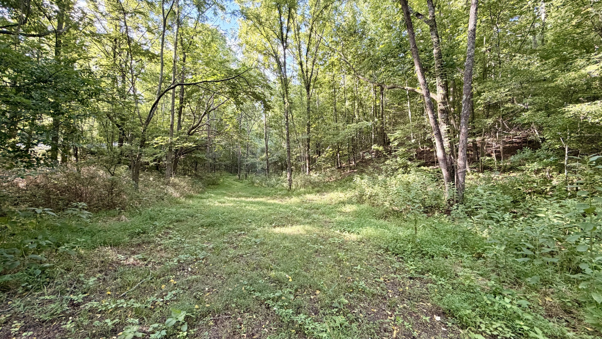 309 Charley Davis Rd Property Photo 77