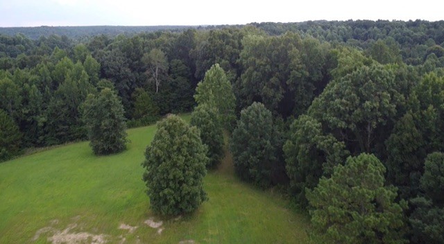 309 Charley Davis Rd Property Photo 78