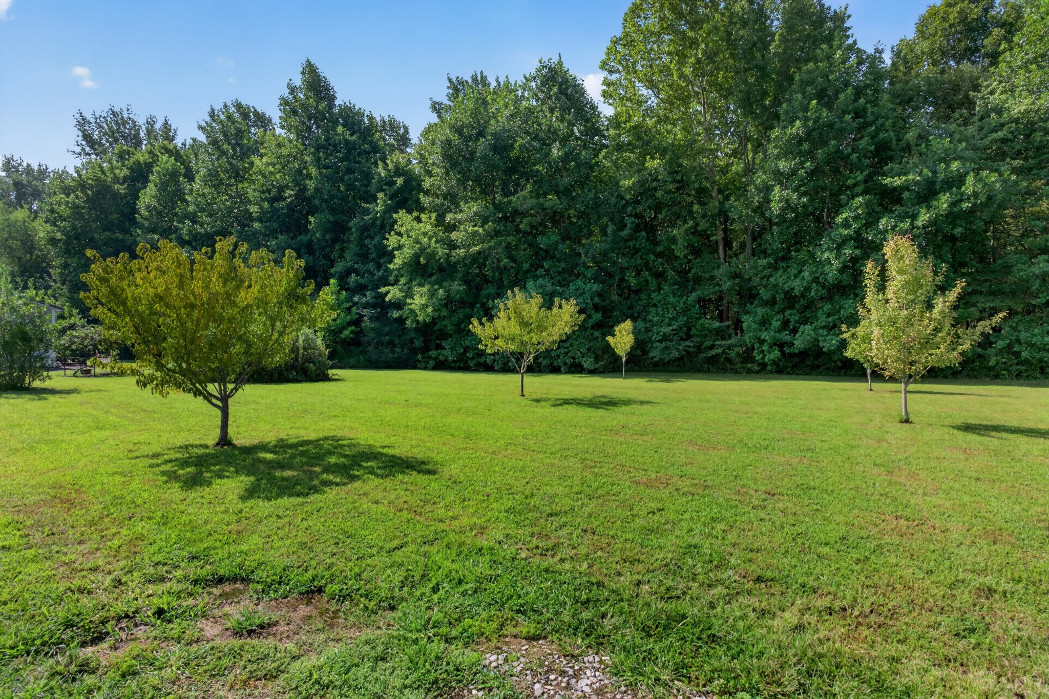 130 Bell Rd Property Photo 59