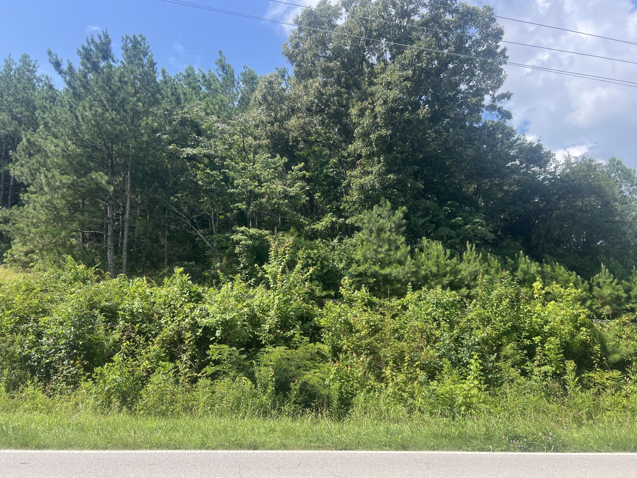 6999 Three Notch Road