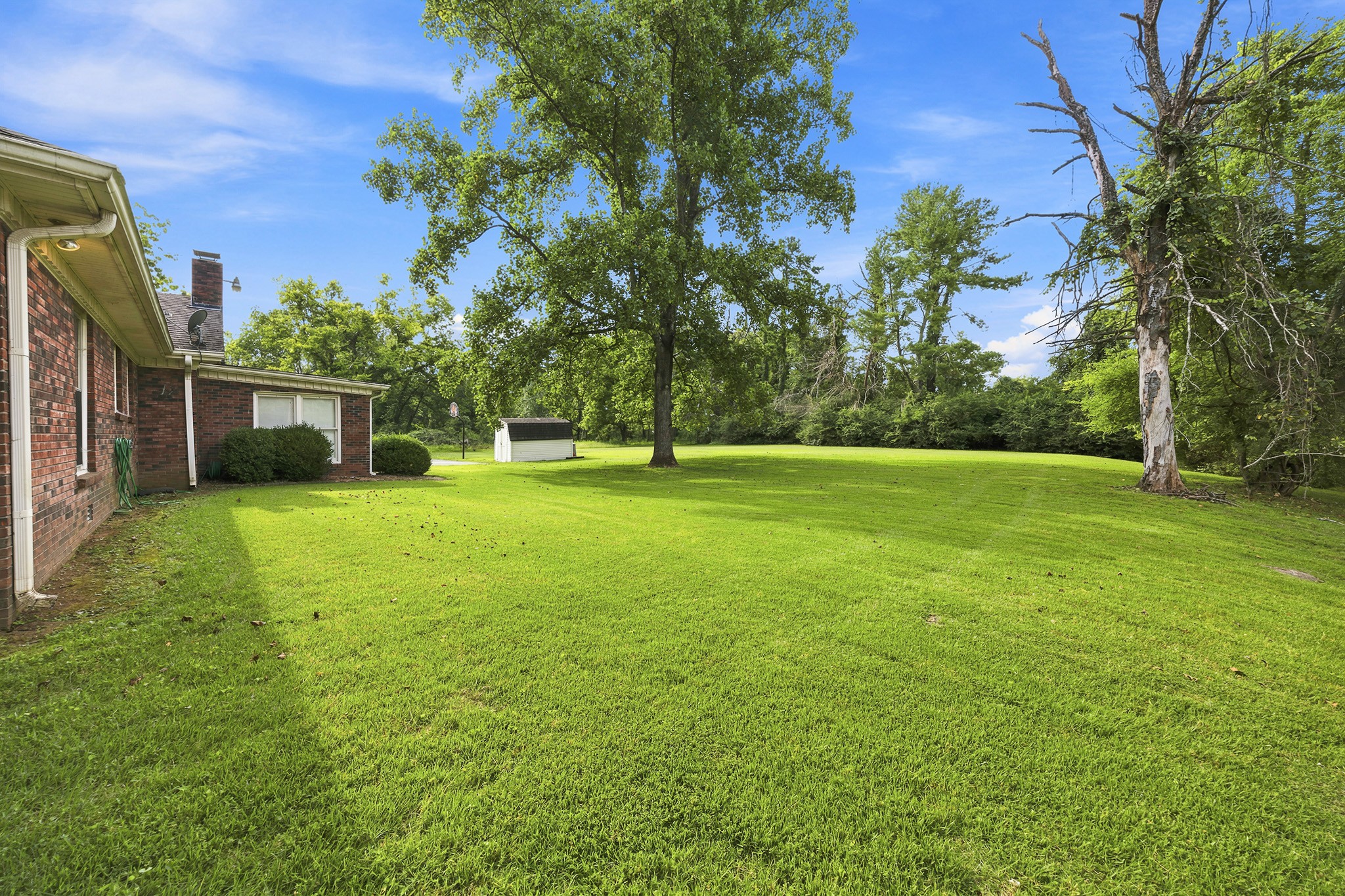 237 Shute Ln Property Photo 47