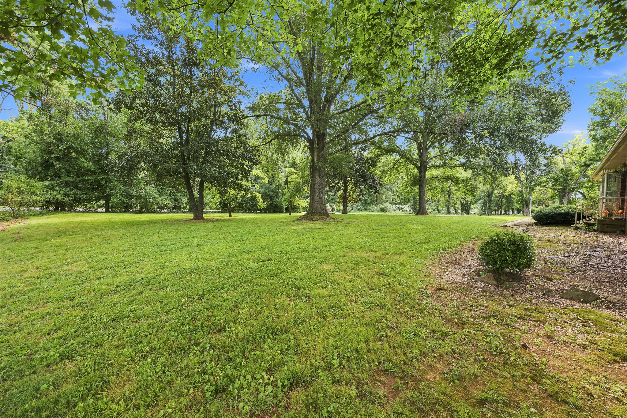237 Shute Ln Property Photo 51