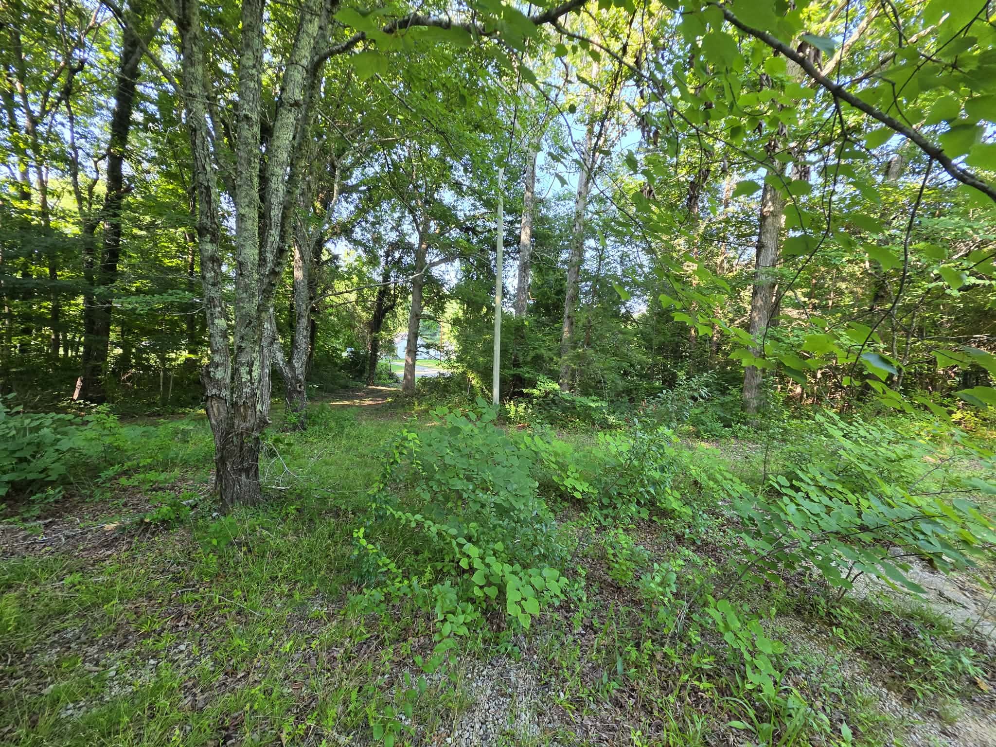 71 Myers Town Rd Property Photo 2
