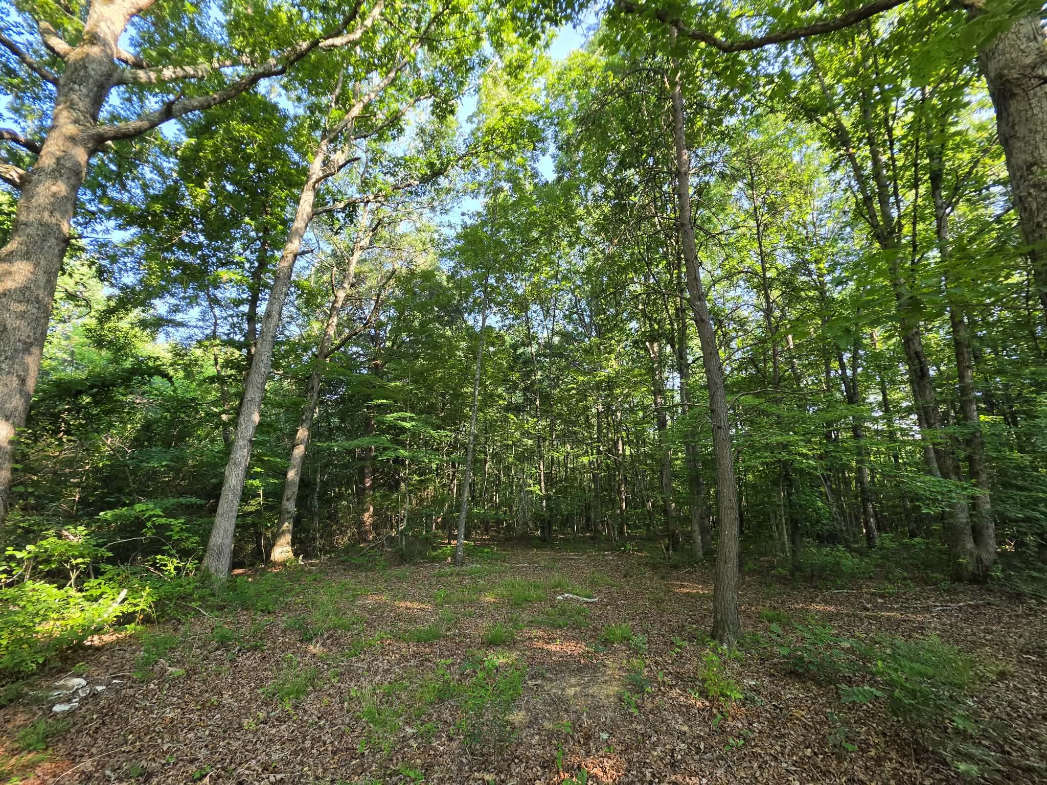 71 Myers Town Rd Property Photo 4