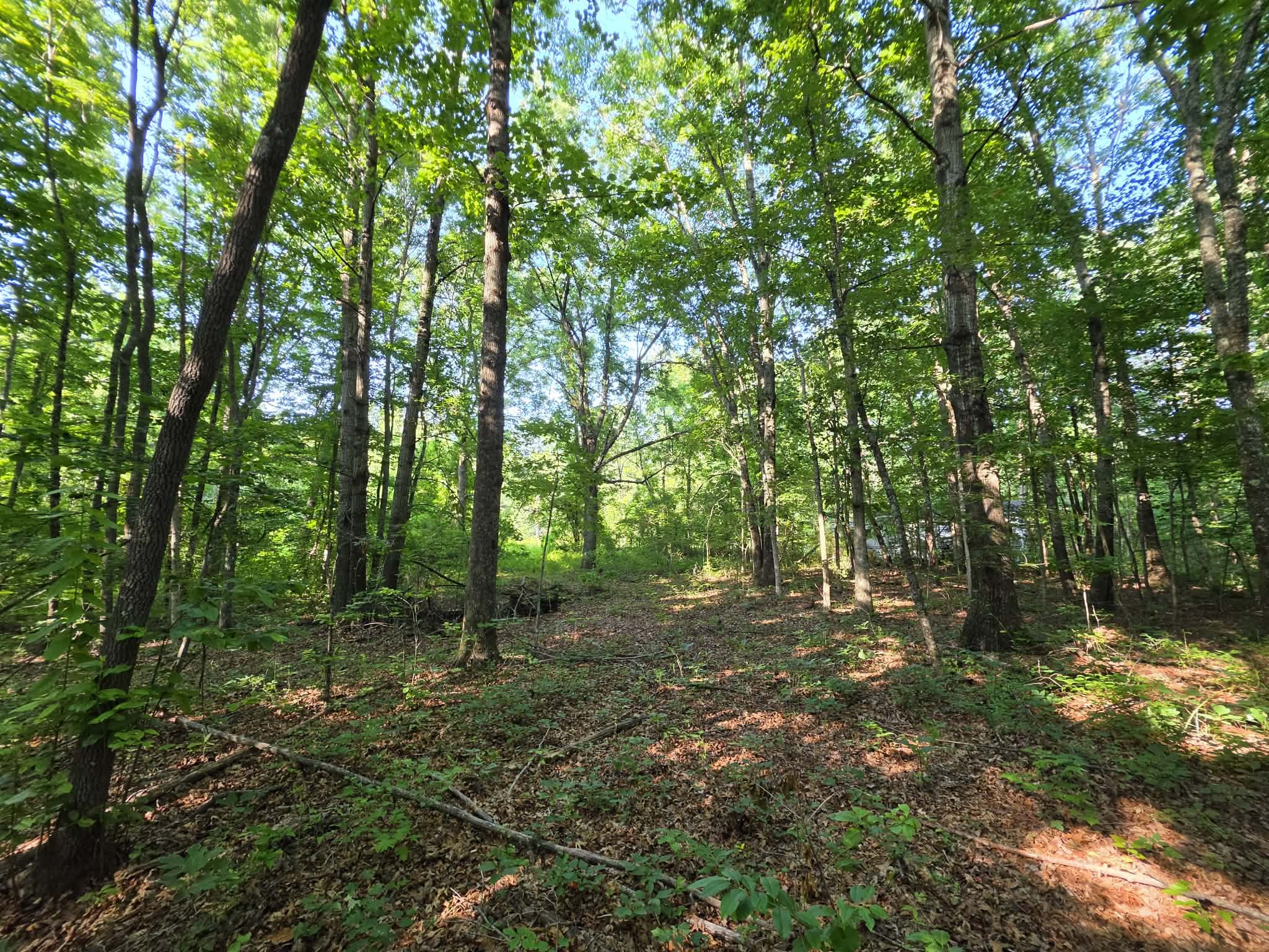 71 Myers Town Rd Property Photo 14