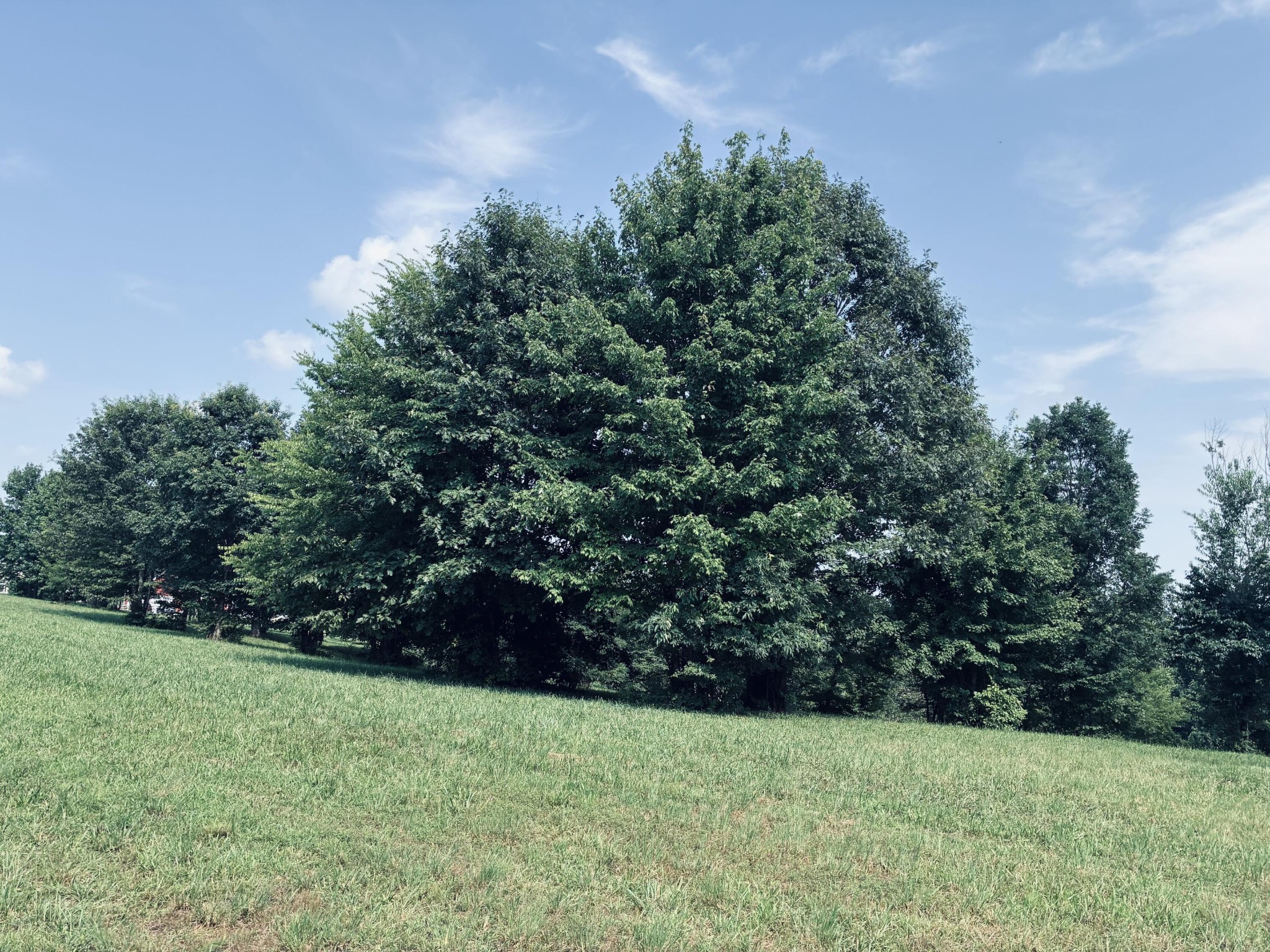 800 Sunset Circle Property Photo 2