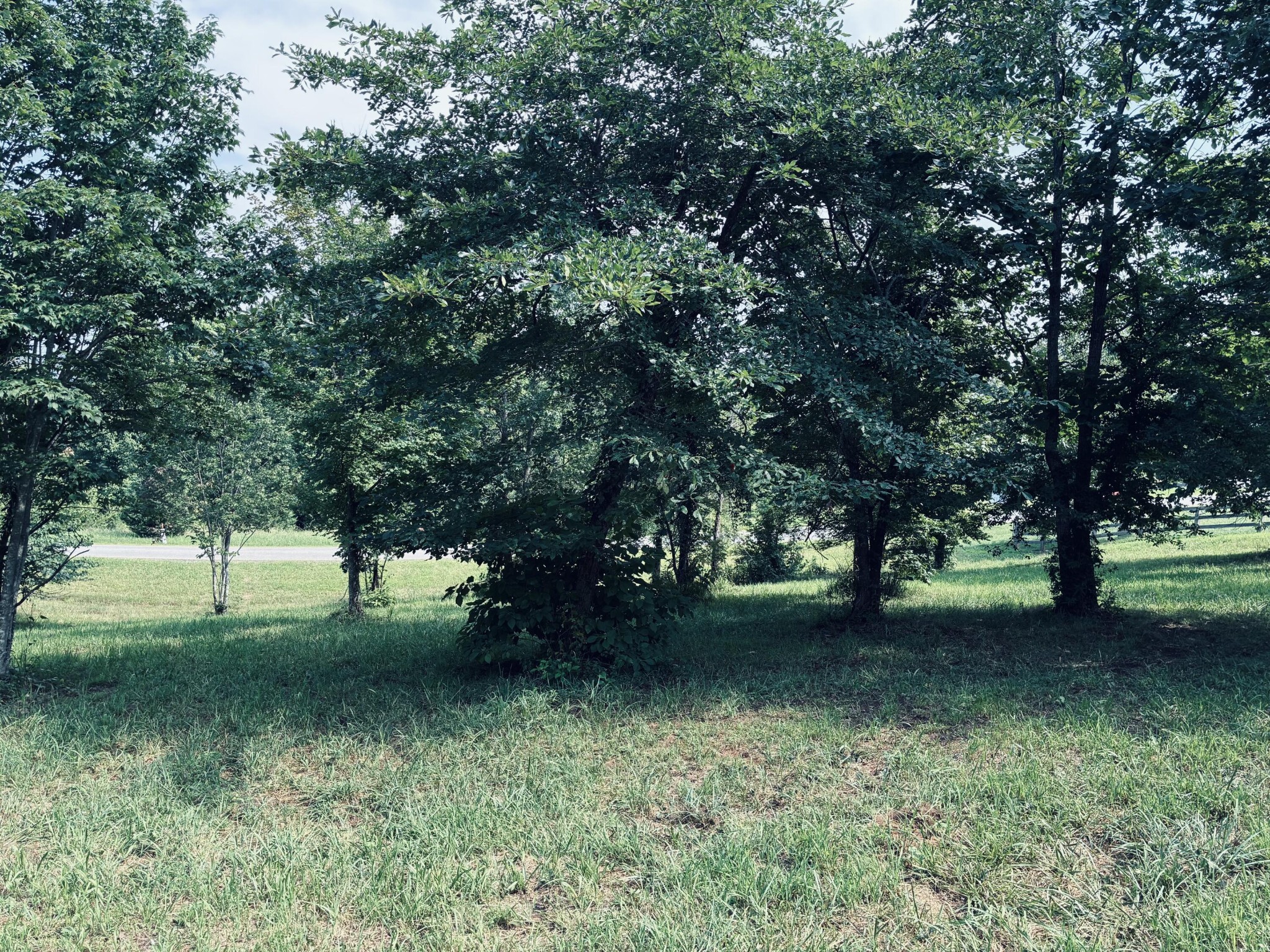800 Sunset Circle Property Photo 9
