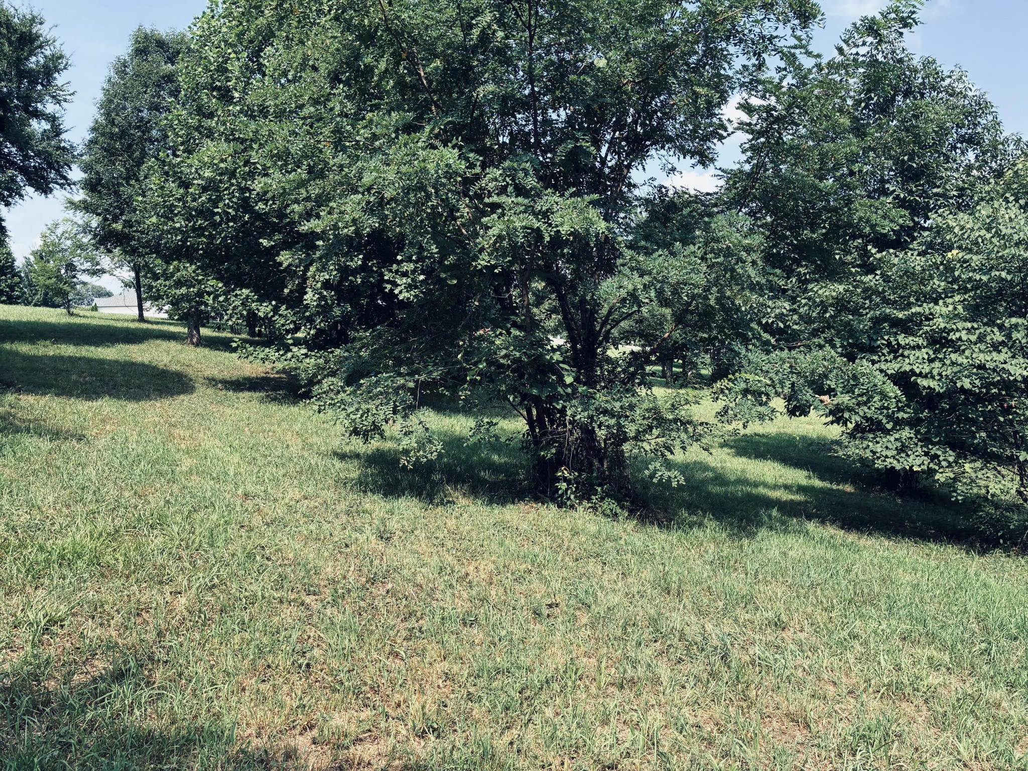 800 Sunset Circle Property Photo 10