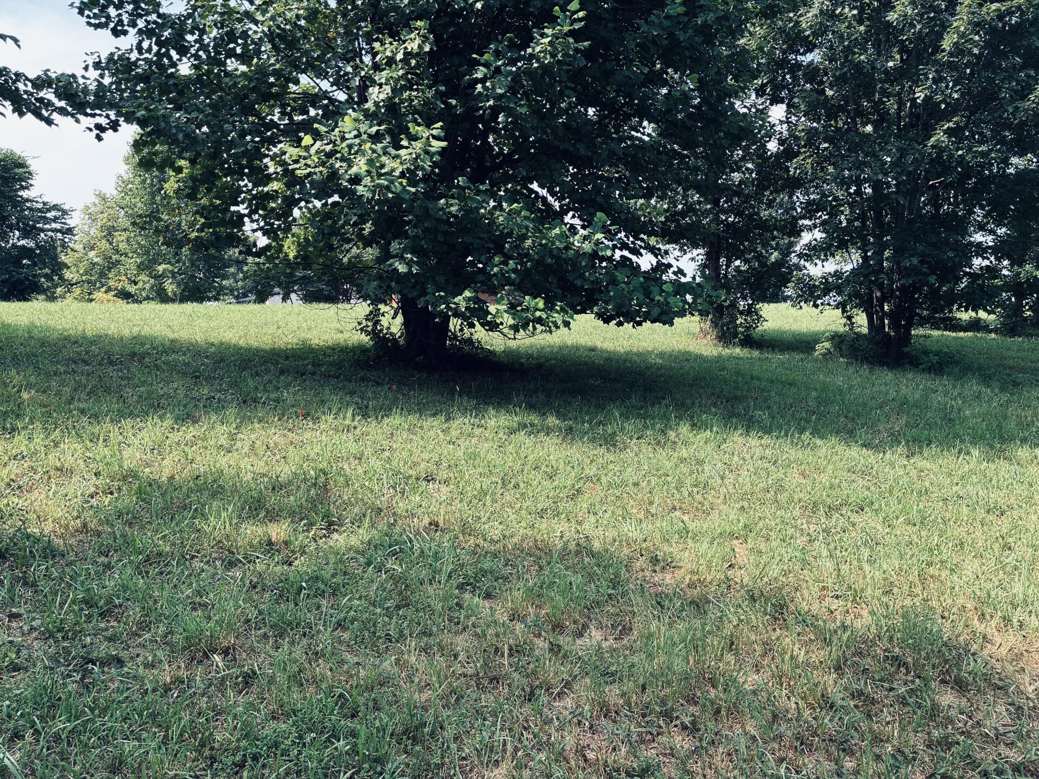 800 Sunset Circle Property Photo 11