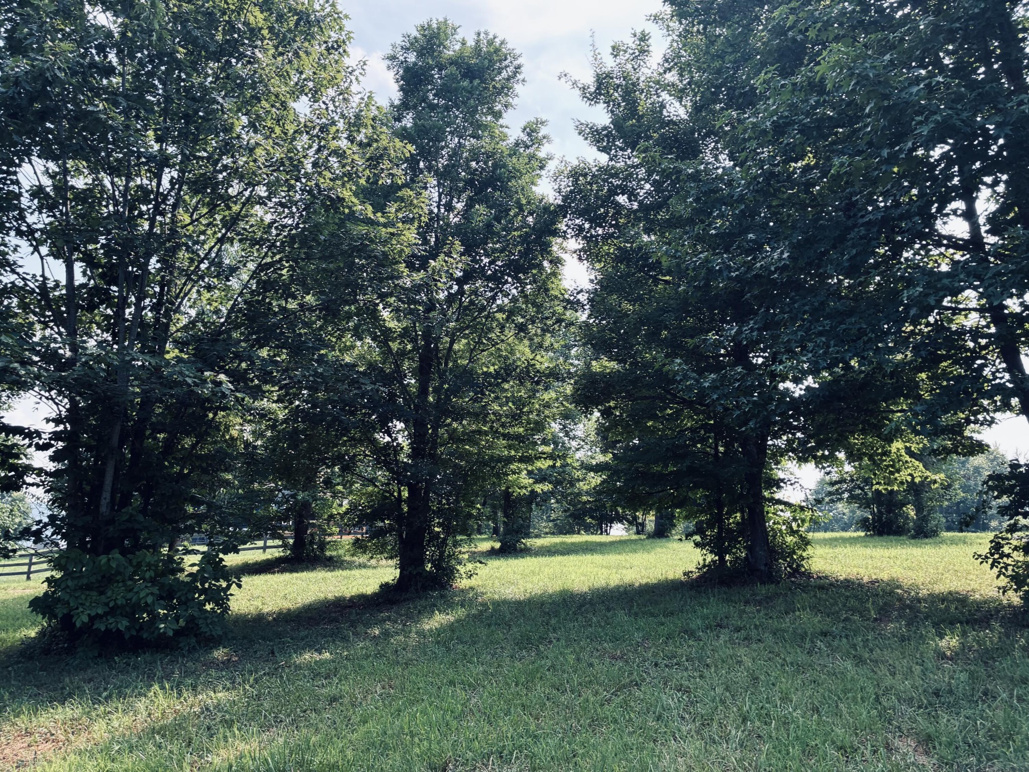 800 Sunset Circle Property Photo 13