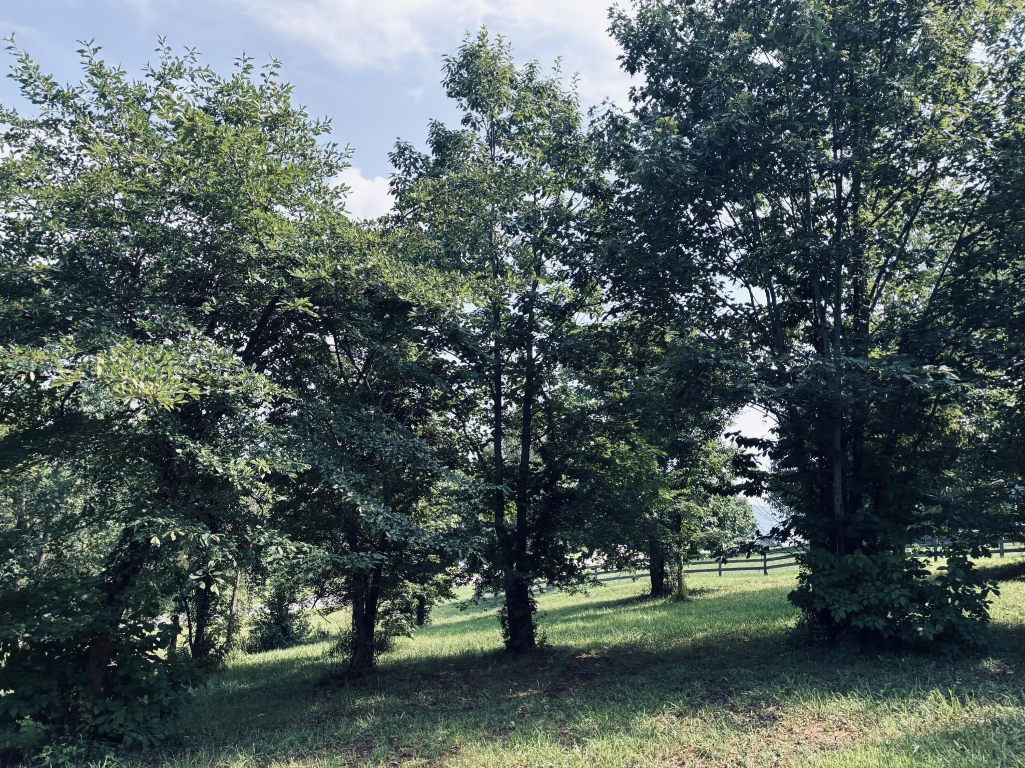 800 Sunset Circle Property Photo 14