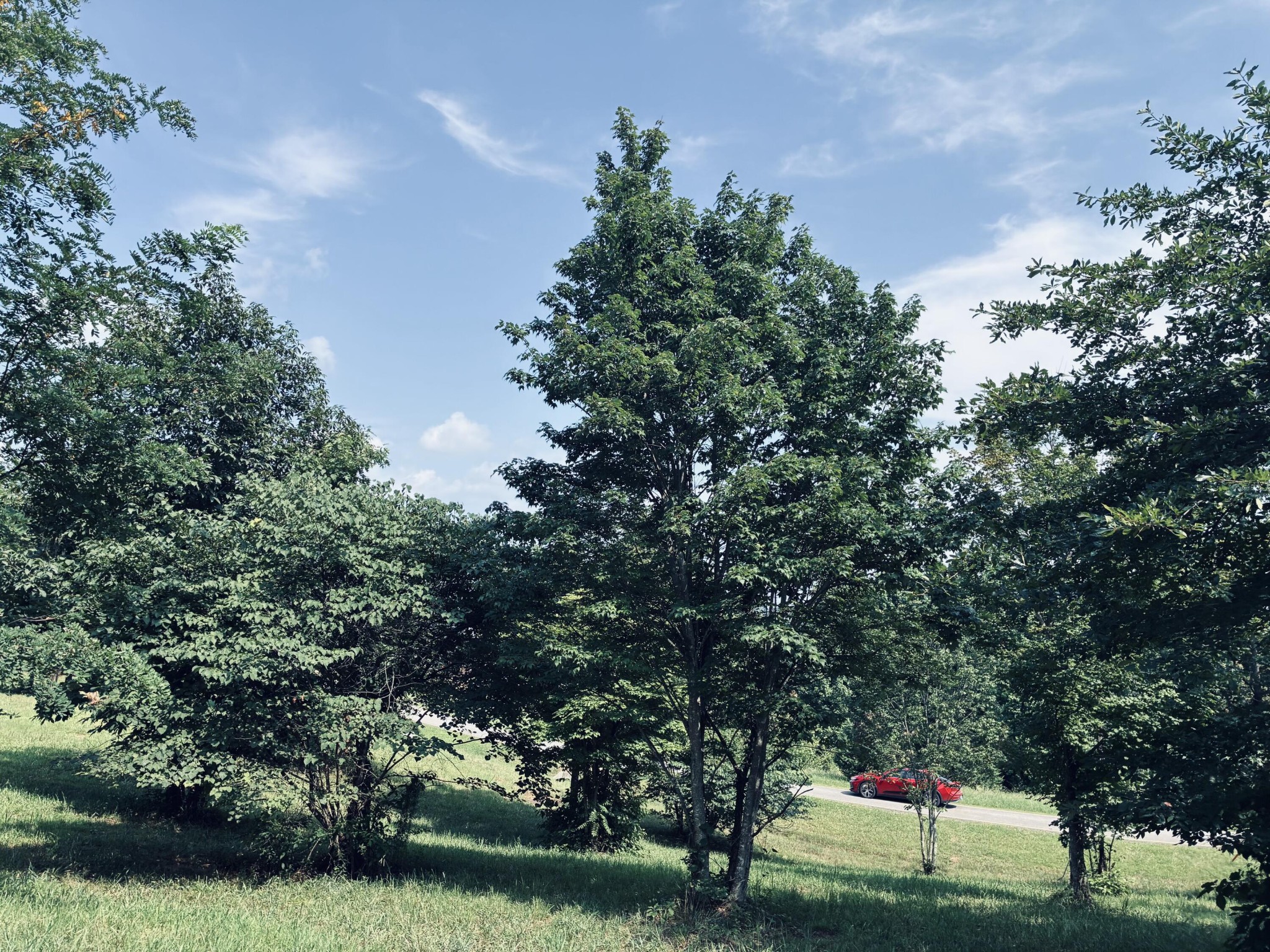 800 Sunset Circle Property Photo 15