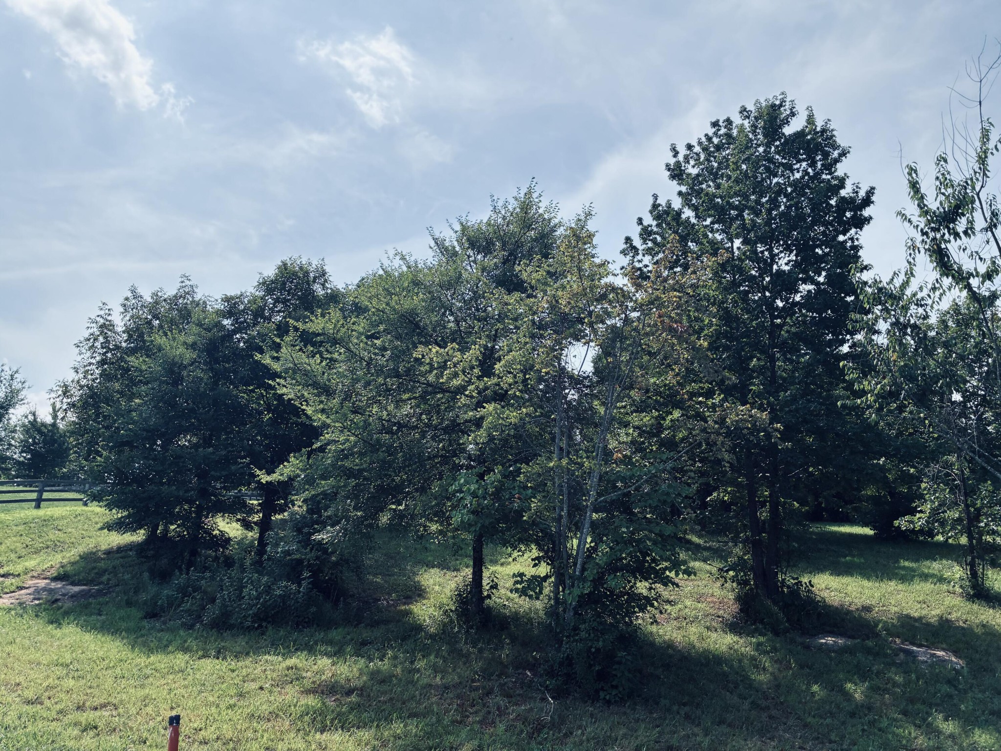 800 Sunset Circle Property Photo 18