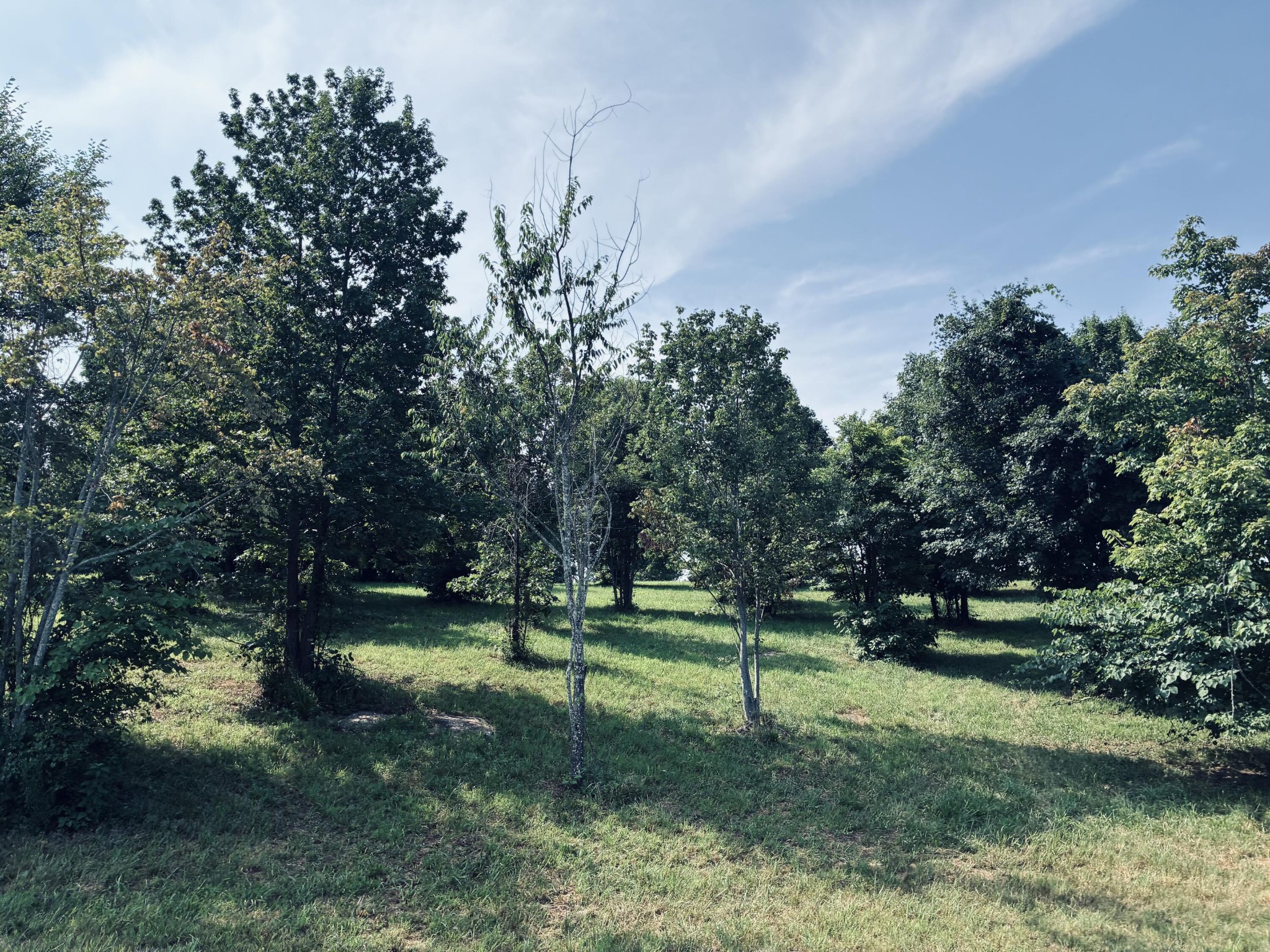 800 Sunset Circle Property Photo 19