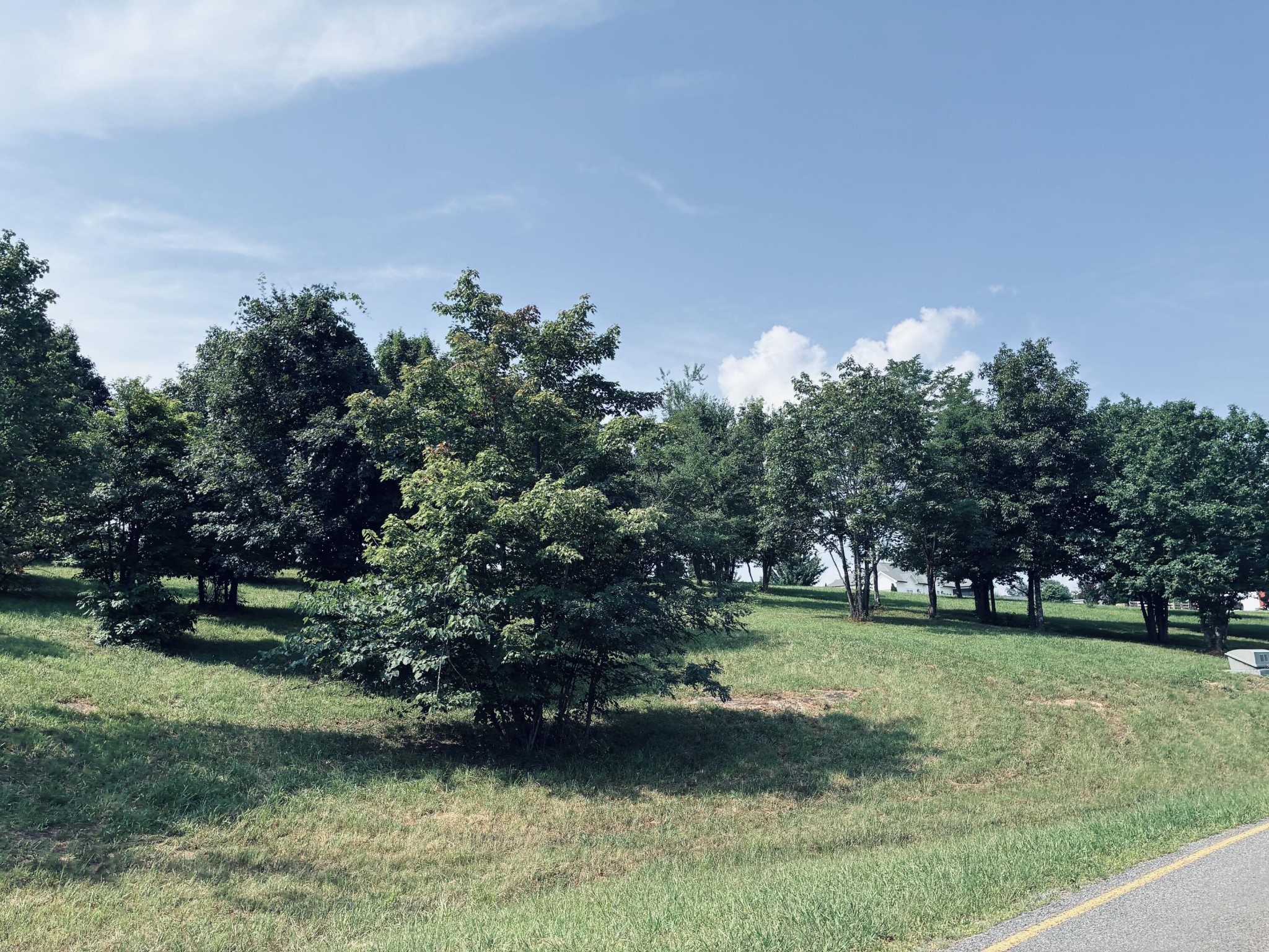 800 Sunset Circle Property Photo 20