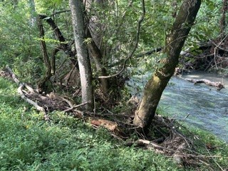 5 Old Rome Pike Property Photo 4