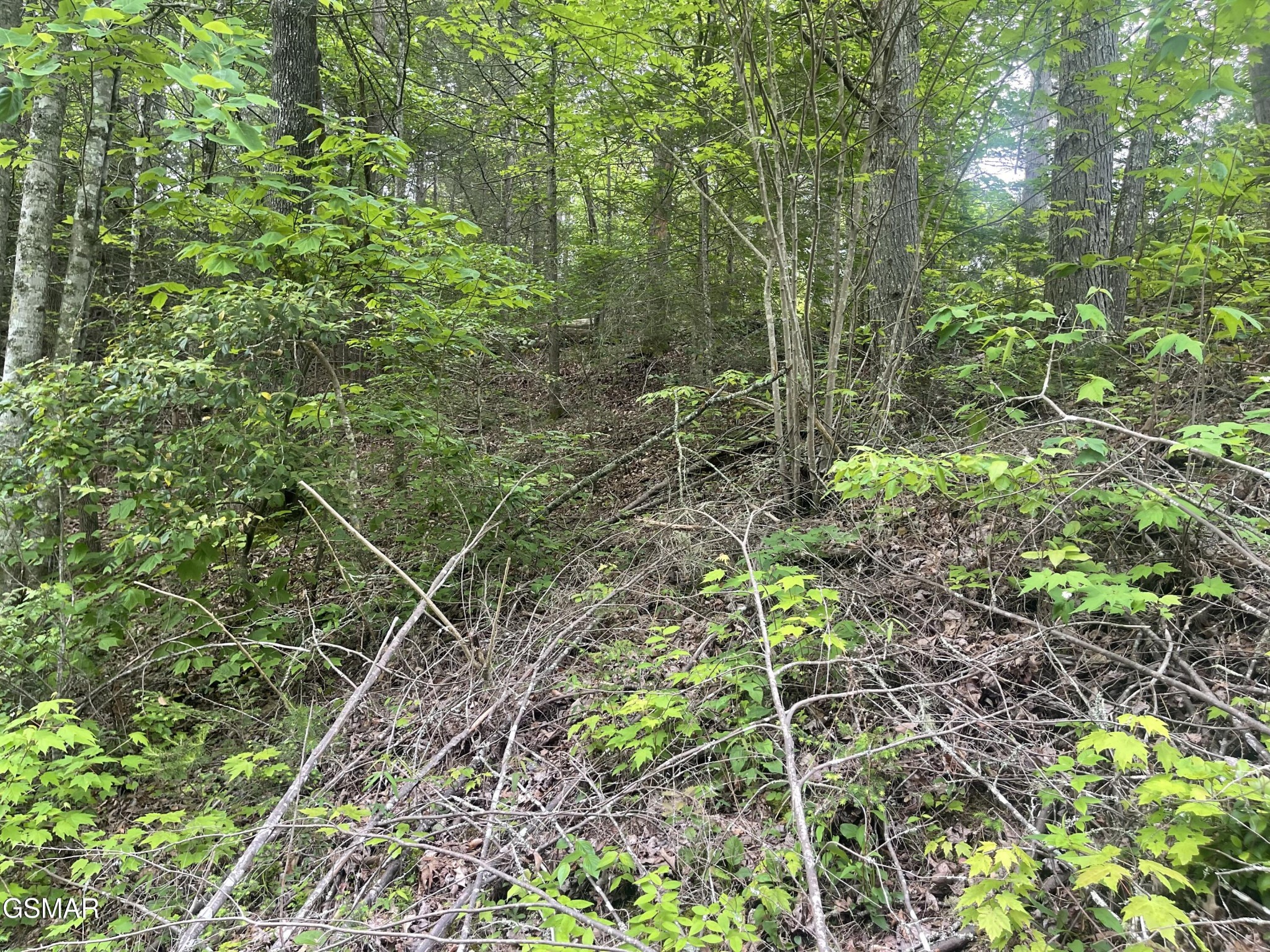 1115 Tranquility Hills Way Property Photo 1