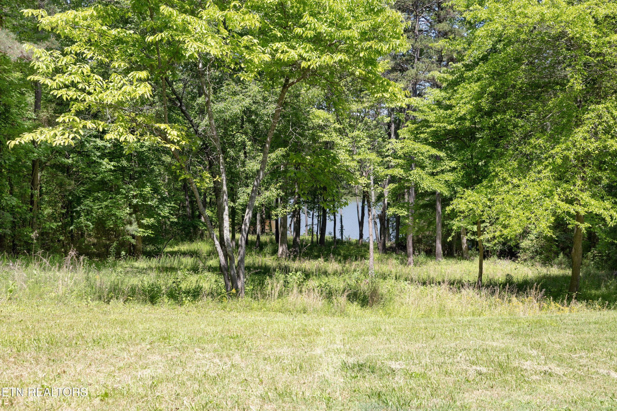 772 Wood Duck Drive Property Photo 1