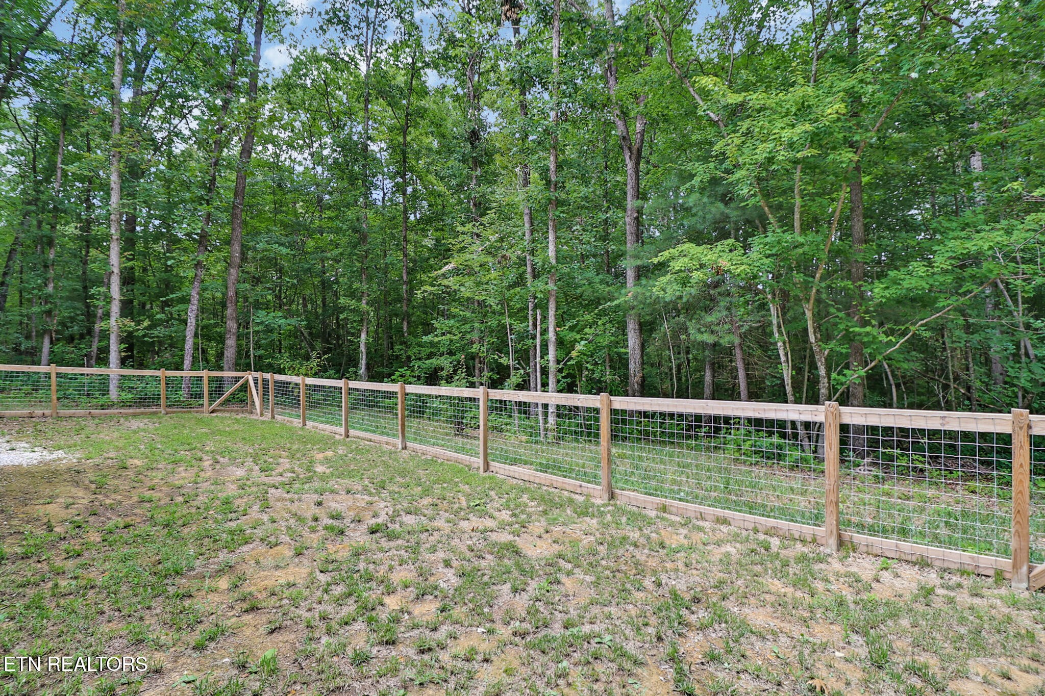 108 Shotgun Annie Rd Property Photo 5