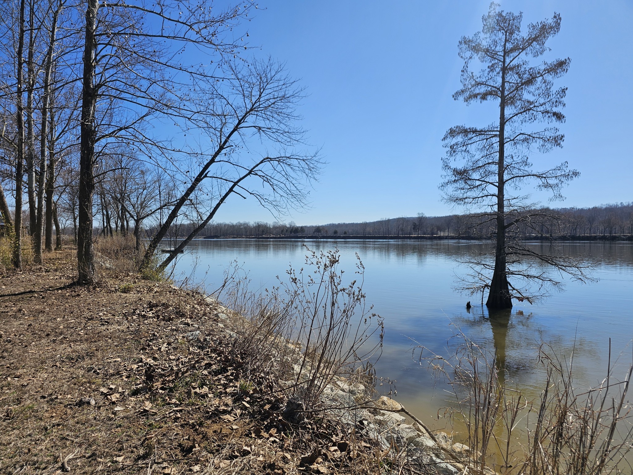 199 Hardin Bottom River Rd Property Photo 19