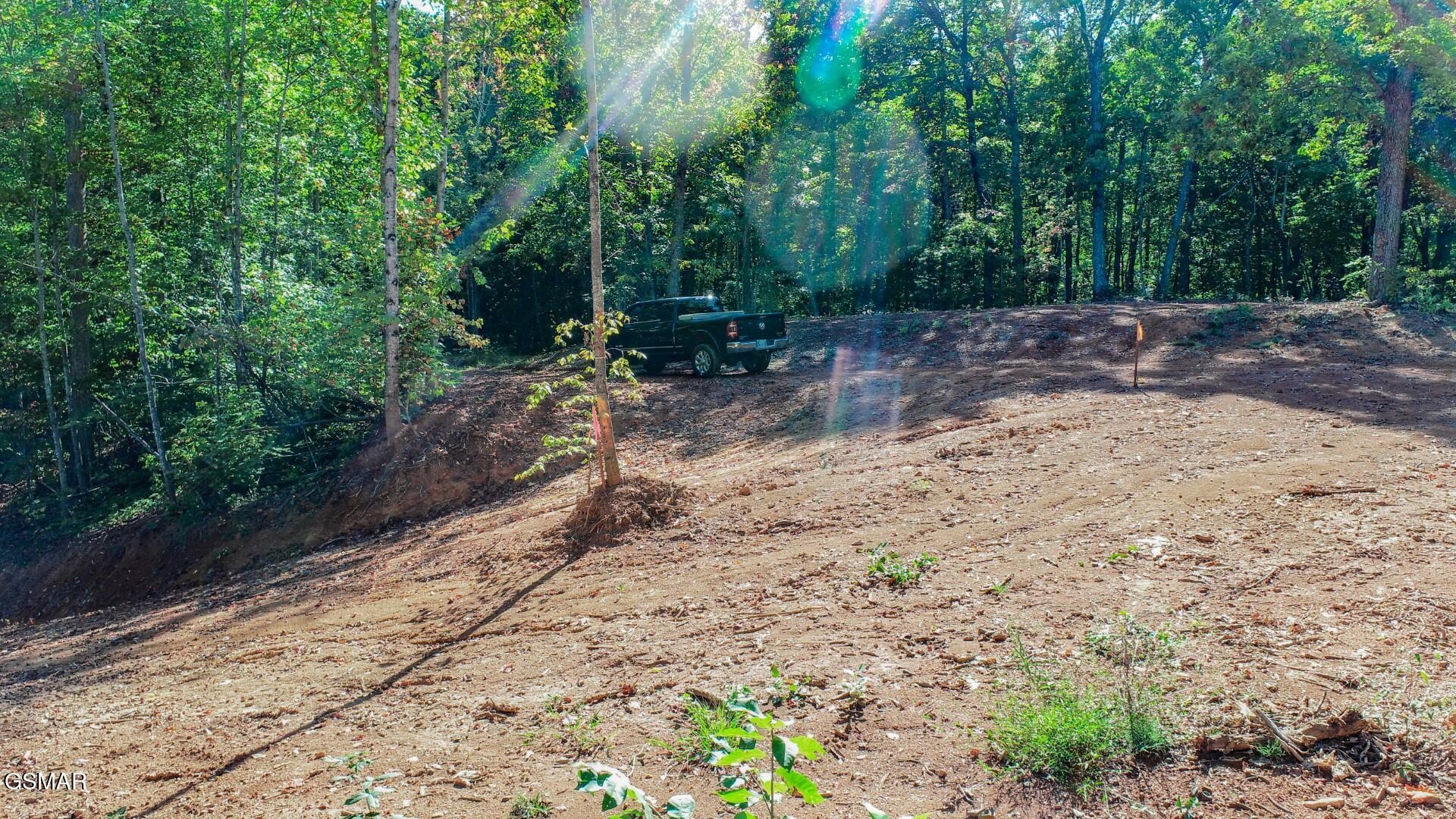 113 Huffman Way Property Photo 11