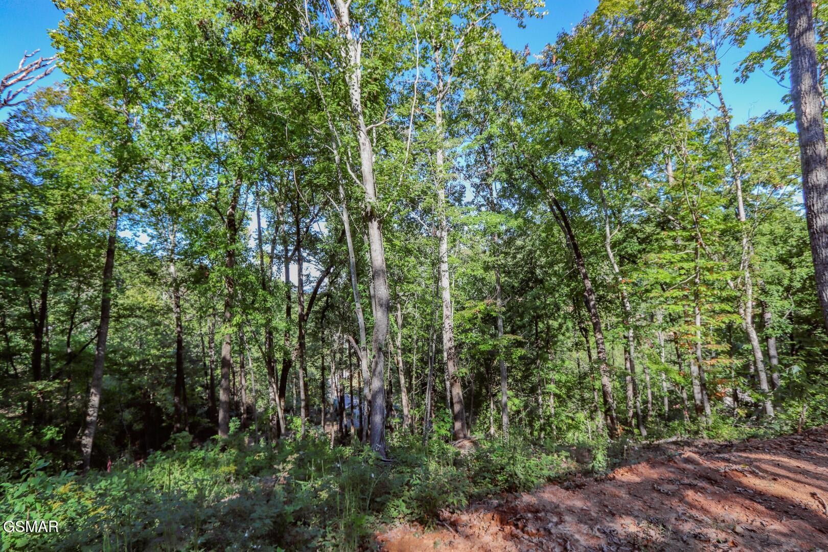 113 Huffman Way Property Photo 15