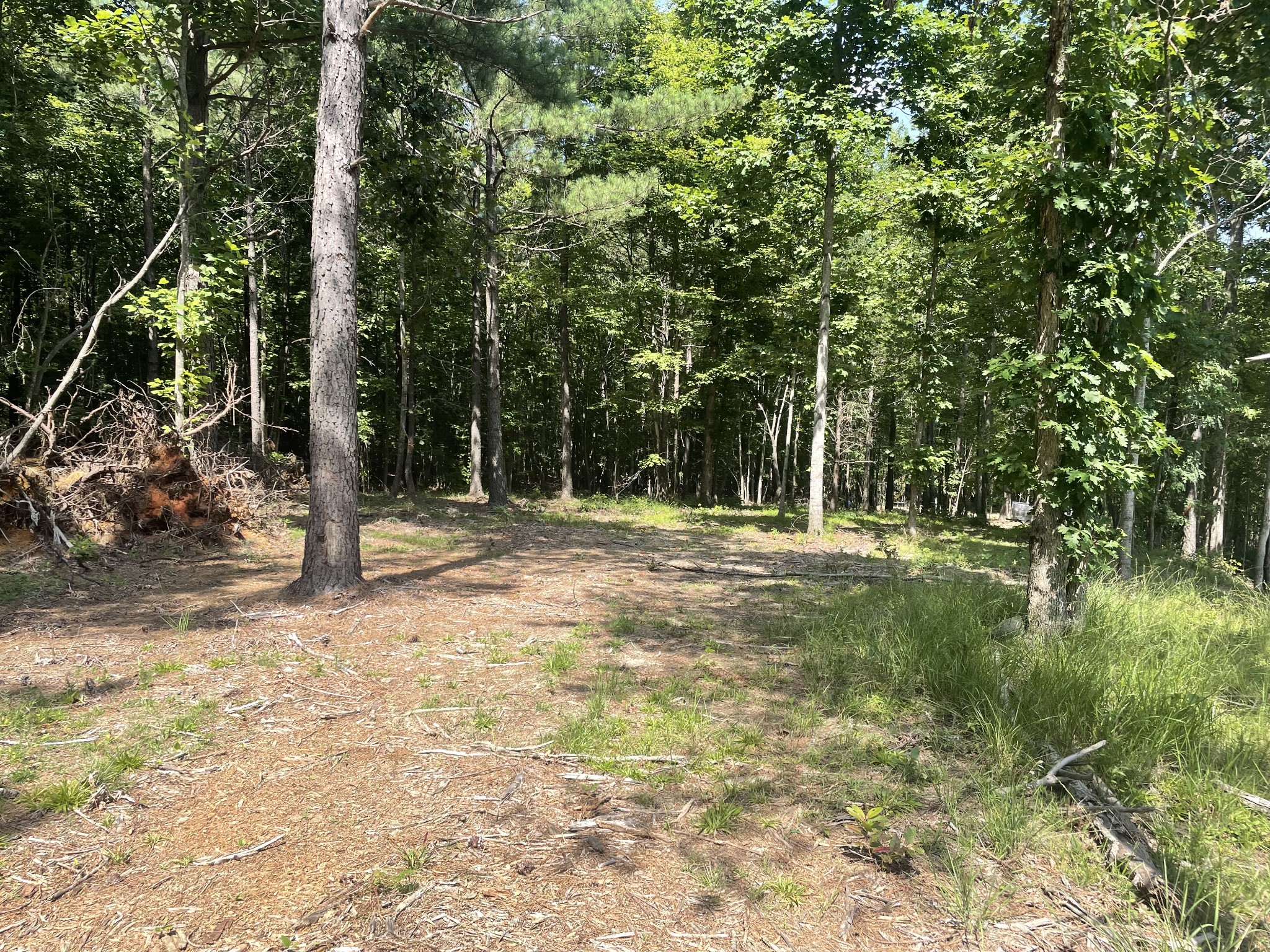 0 Tall Woods Ln Property Photo 1