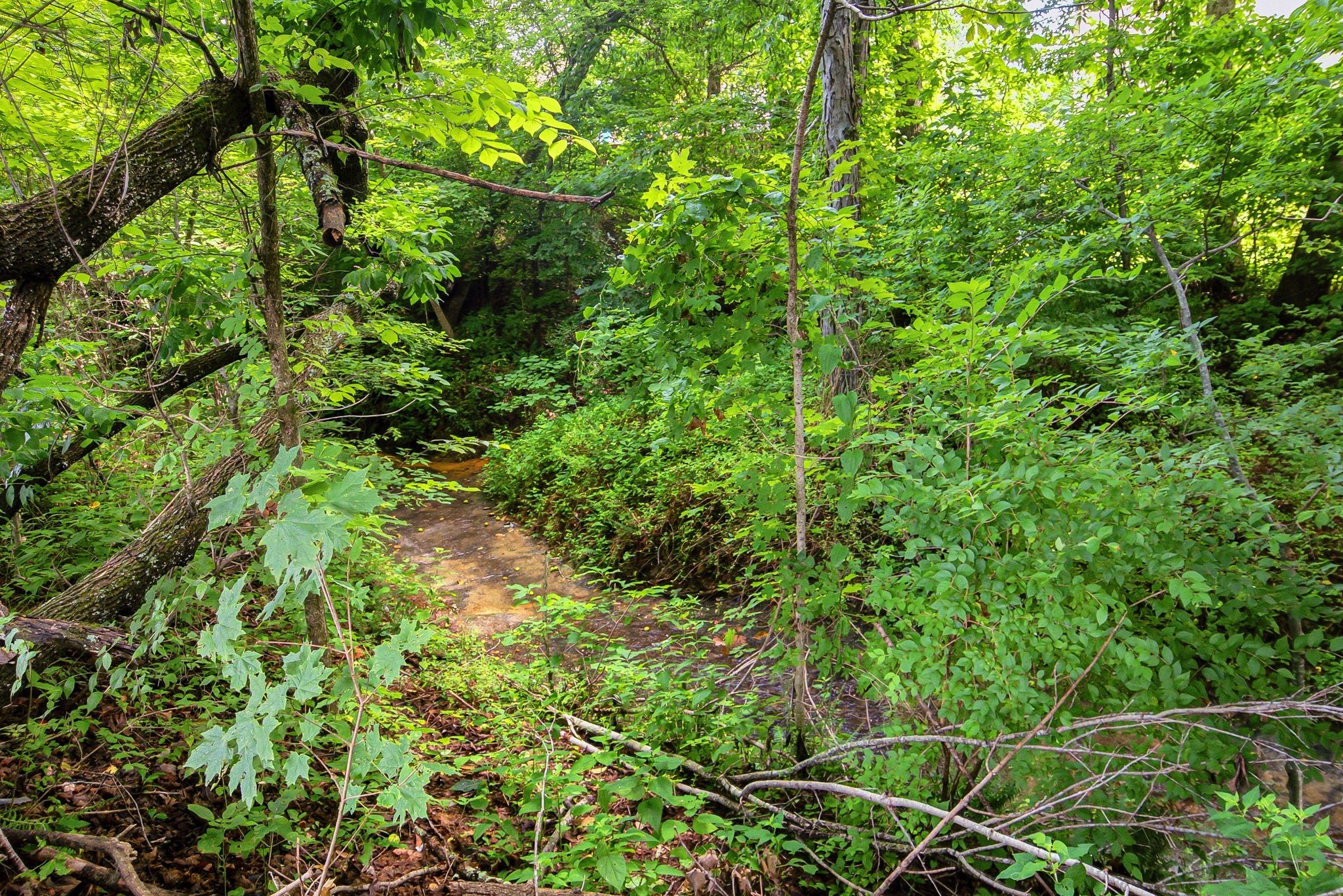 1193 Prestons Way Property Photo 46