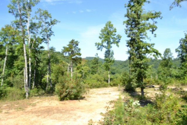 0 Rock Springs Rd Property Photo 1