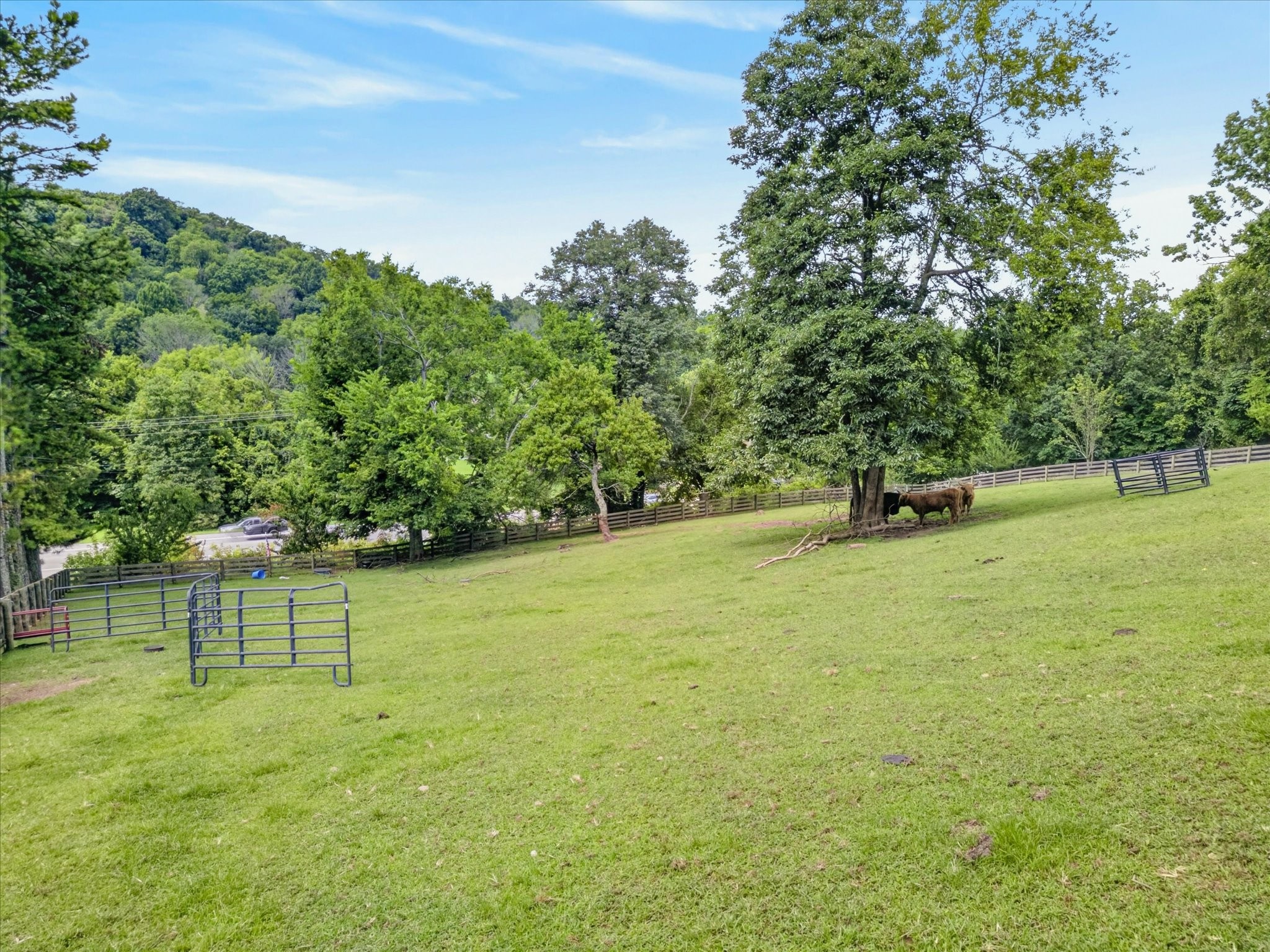2519 Goose Creek Byp Property Photo 60