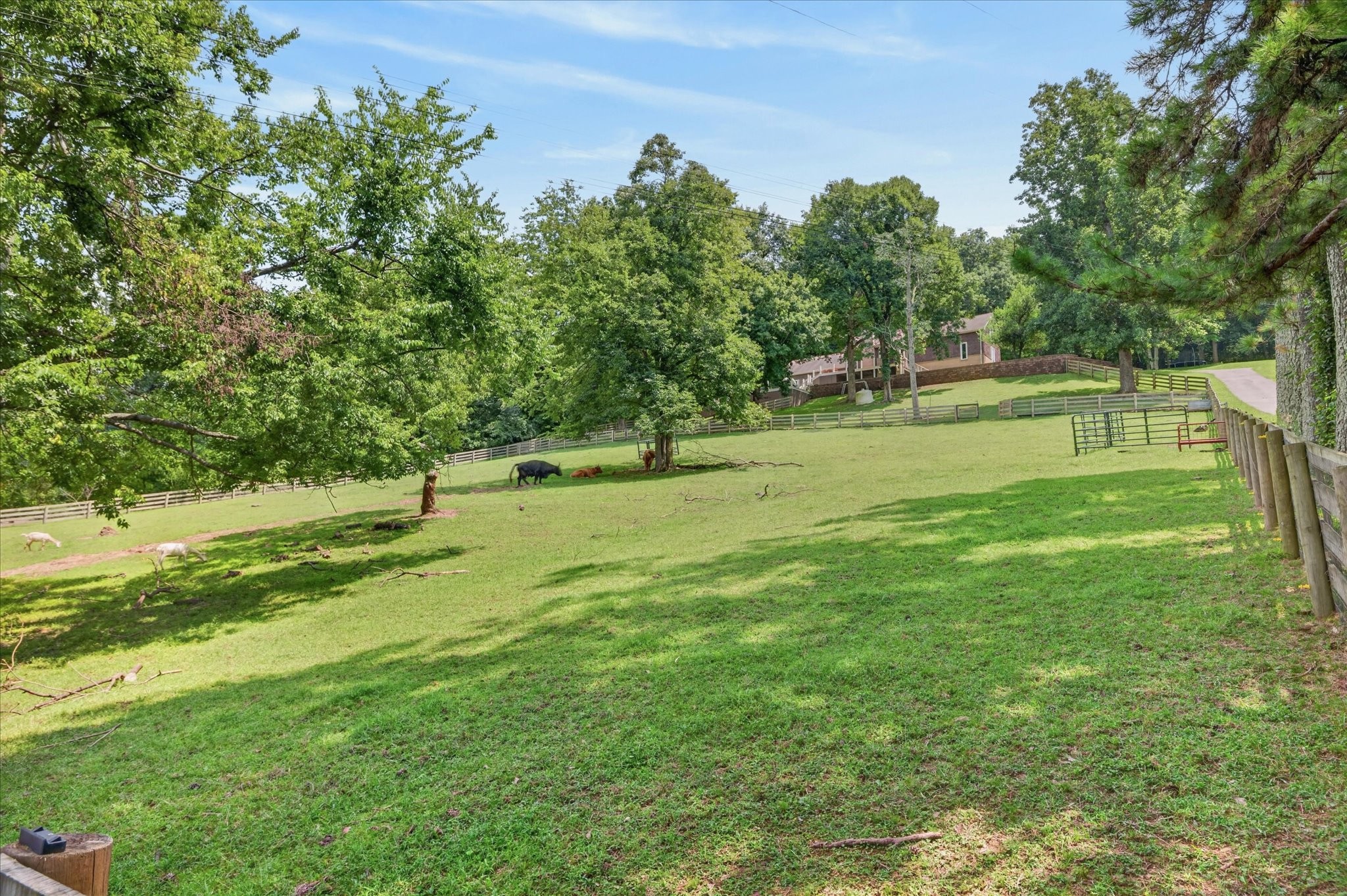 2519 Goose Creek Byp Property Photo 61