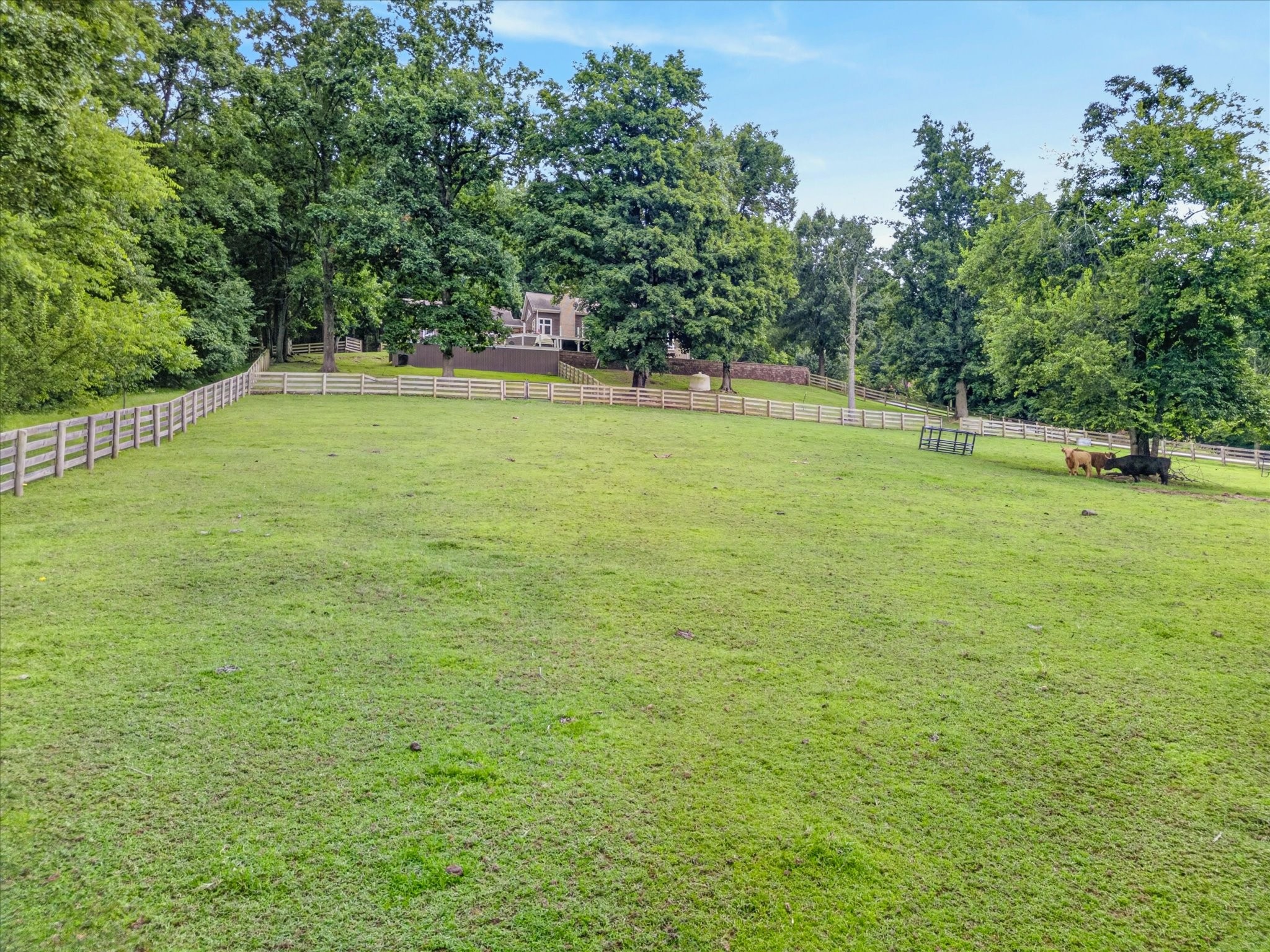 2519 Goose Creek Byp Property Photo 62