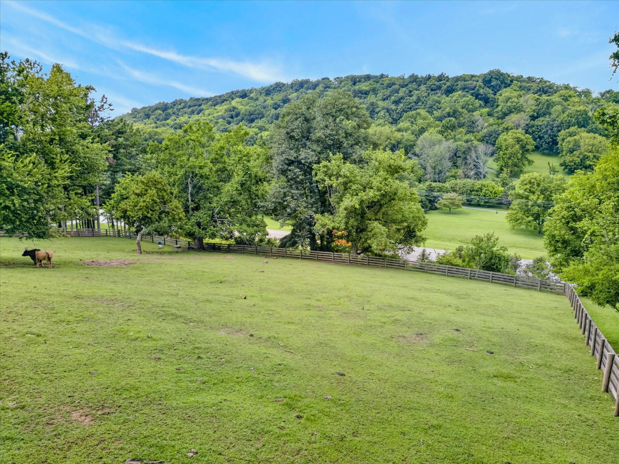 2519 Goose Creek Byp Property Photo 63