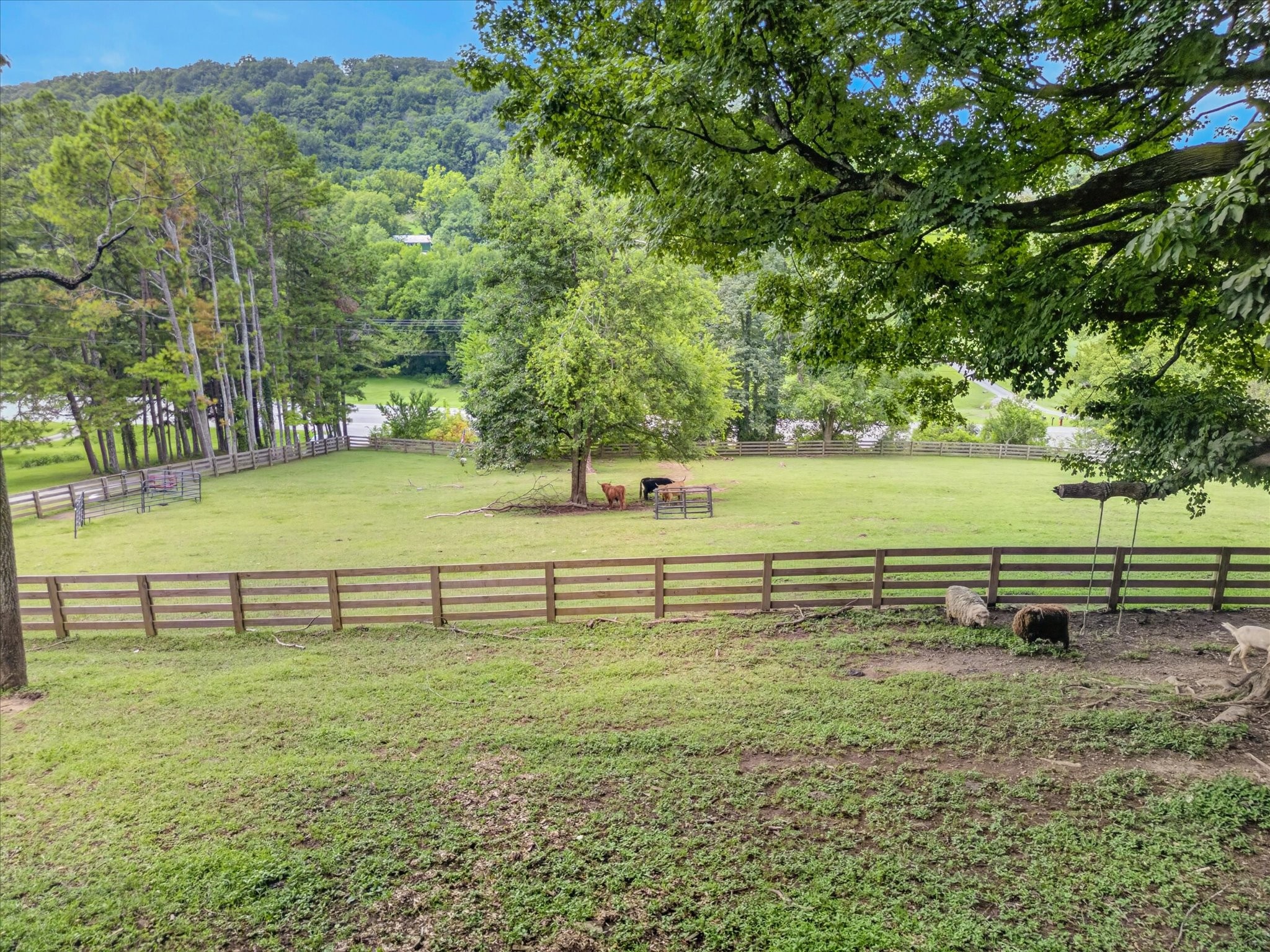 2519 Goose Creek Byp Property Photo 64