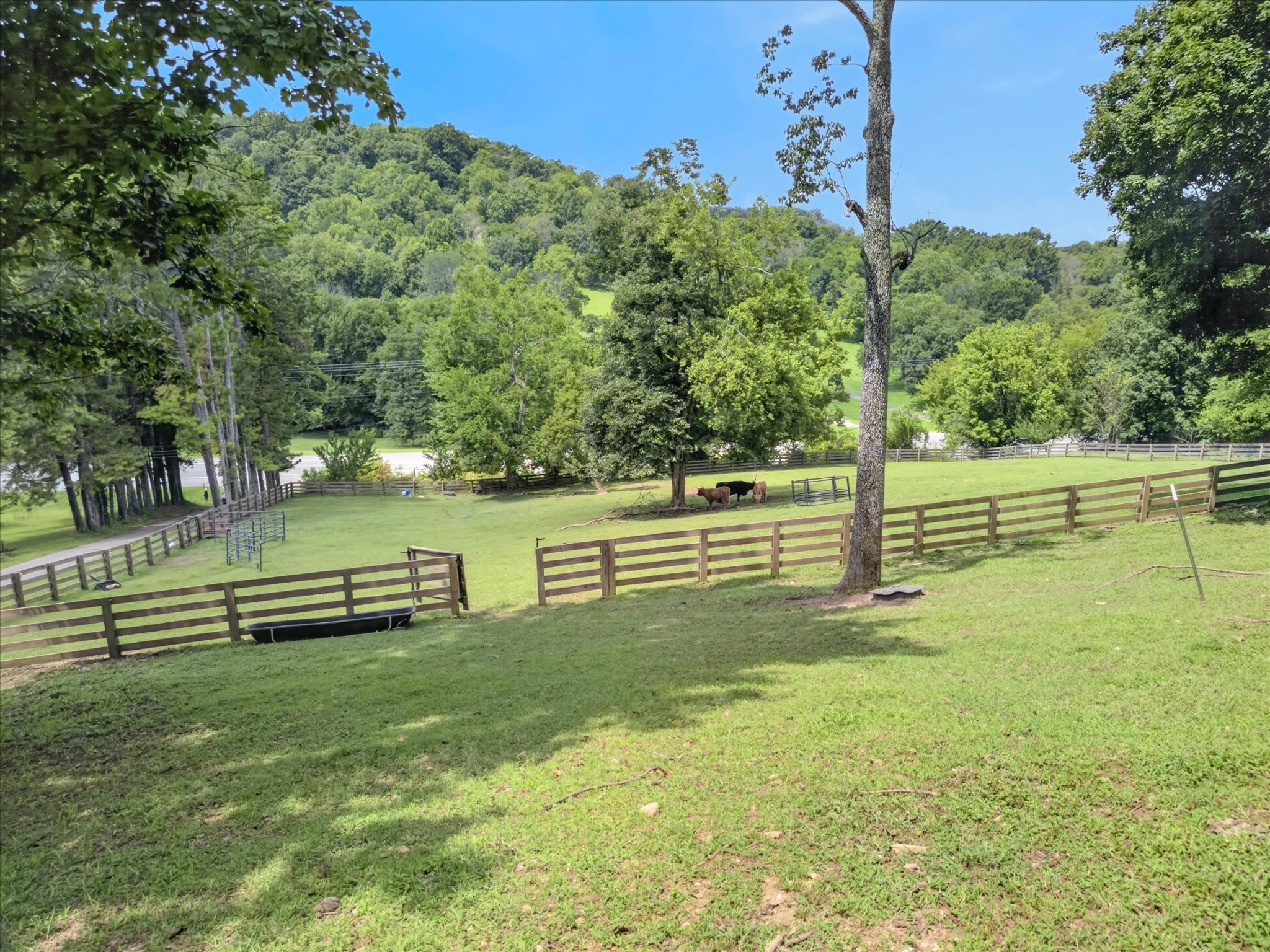 2519 Goose Creek Byp Property Photo 65