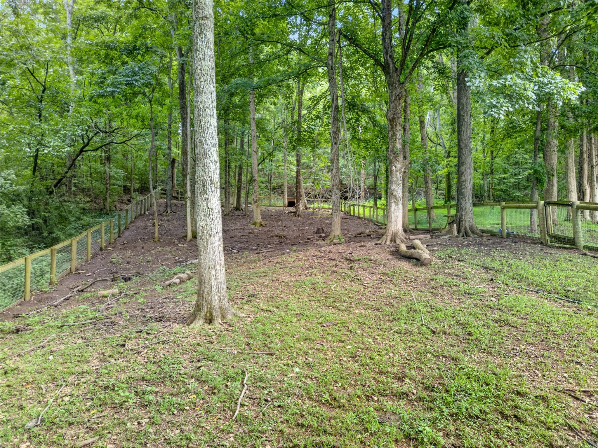 2519 Goose Creek Byp Property Photo 67