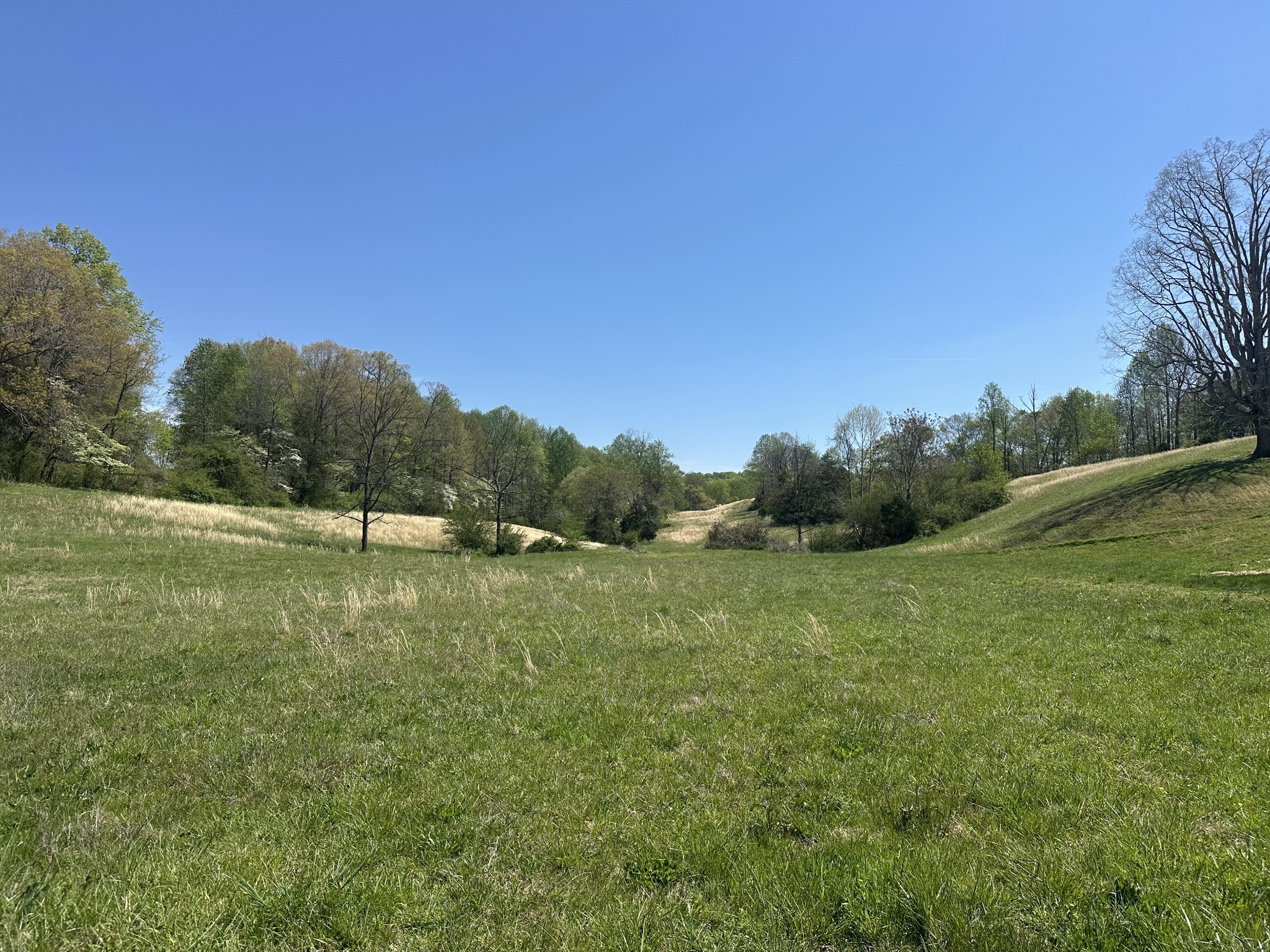 515 Jericho Rd Property Photo 15